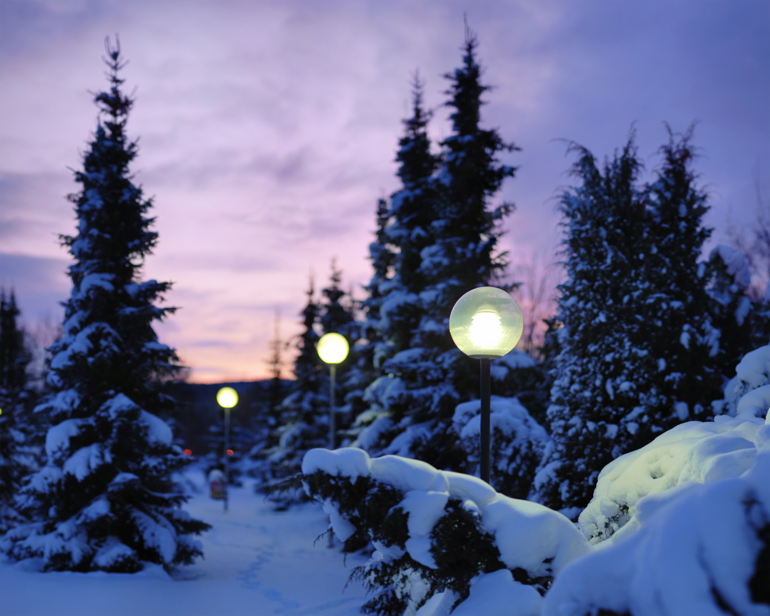 lights, winter, lanterns, snow download for free