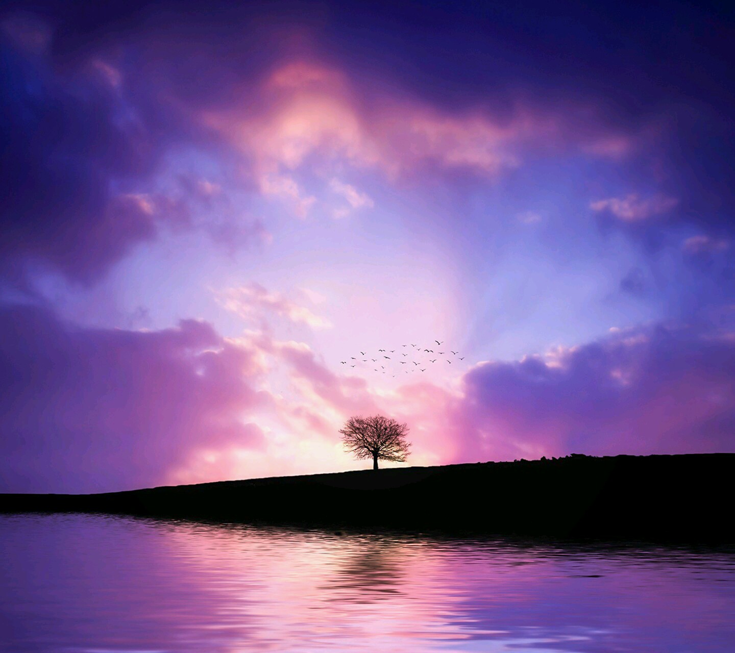 Фиолетовый закат