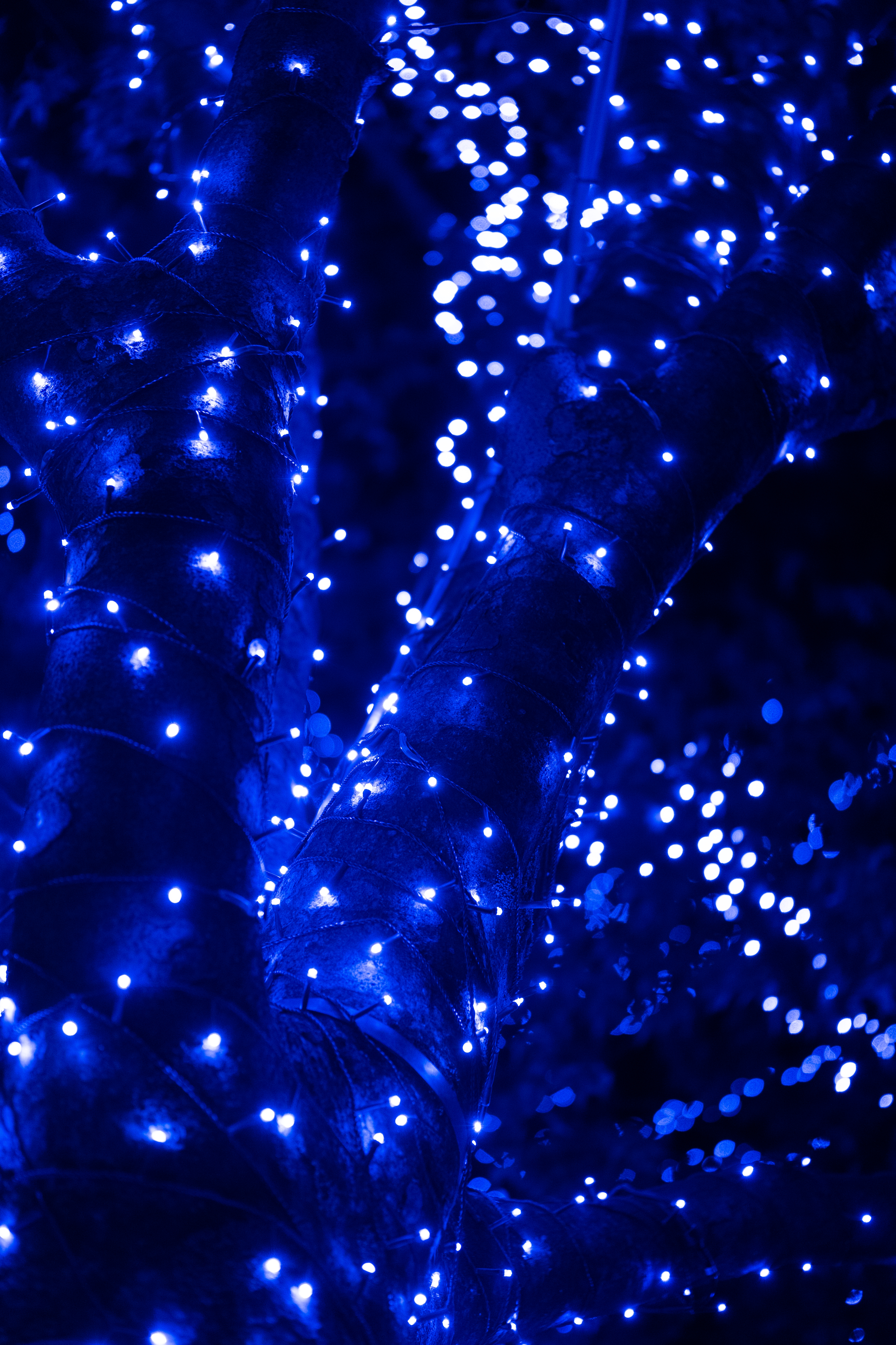 84935 Screensavers and Wallpapers Garland for phone. Download blue, holidays, glare, shine, brilliance, garland, bokeh, boquet, garlands pictures for free