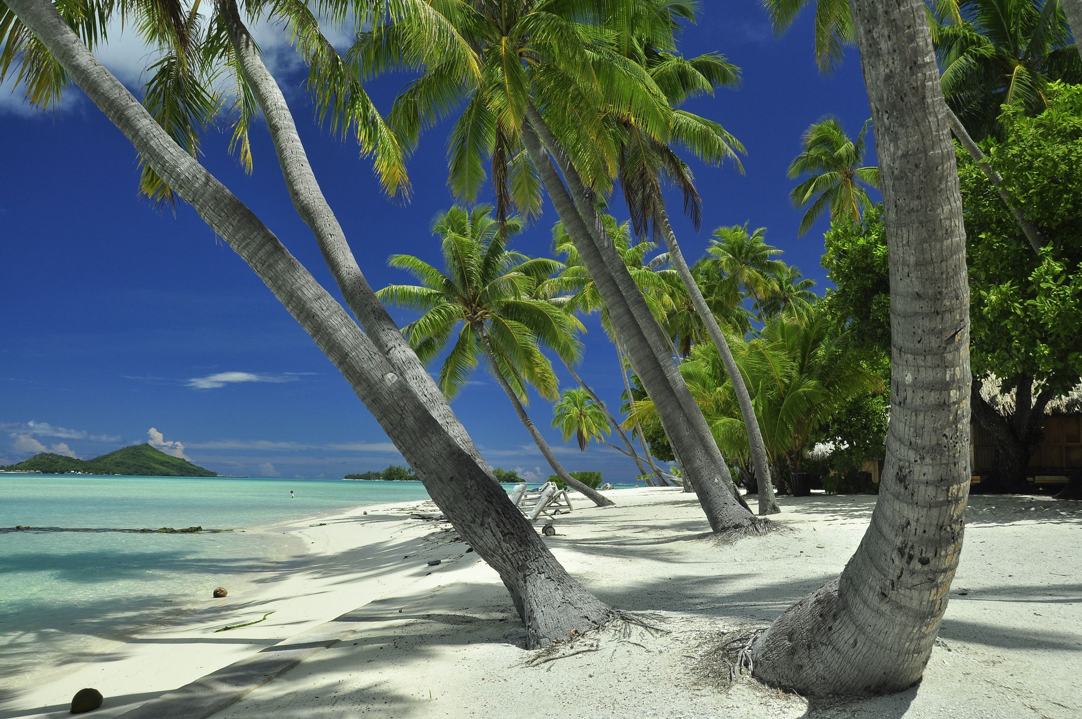 Французская Полинезия пляж Таити