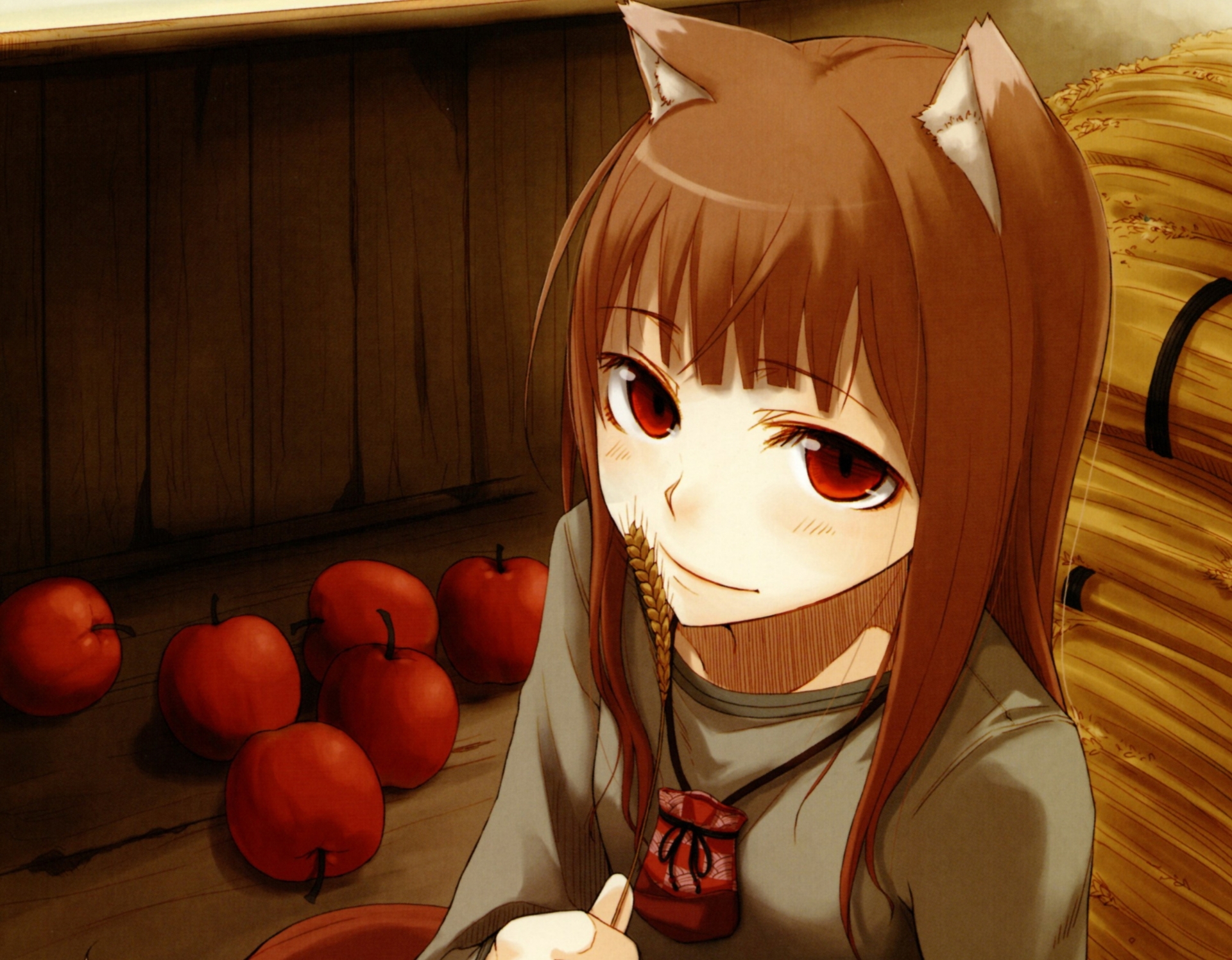 Холо Spice and Wolf