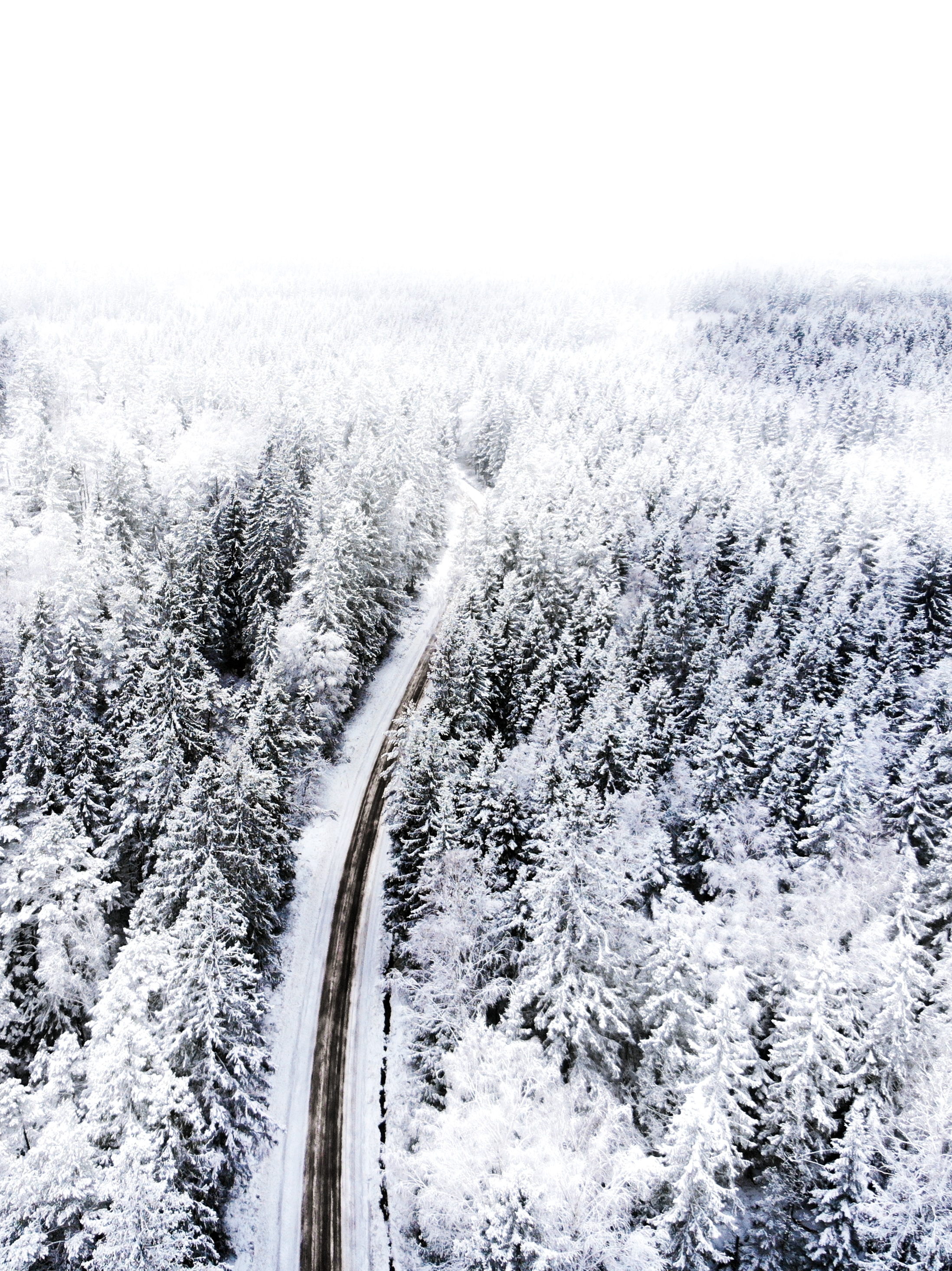 winter, nature, snow, view from above, road, forest Phone Background