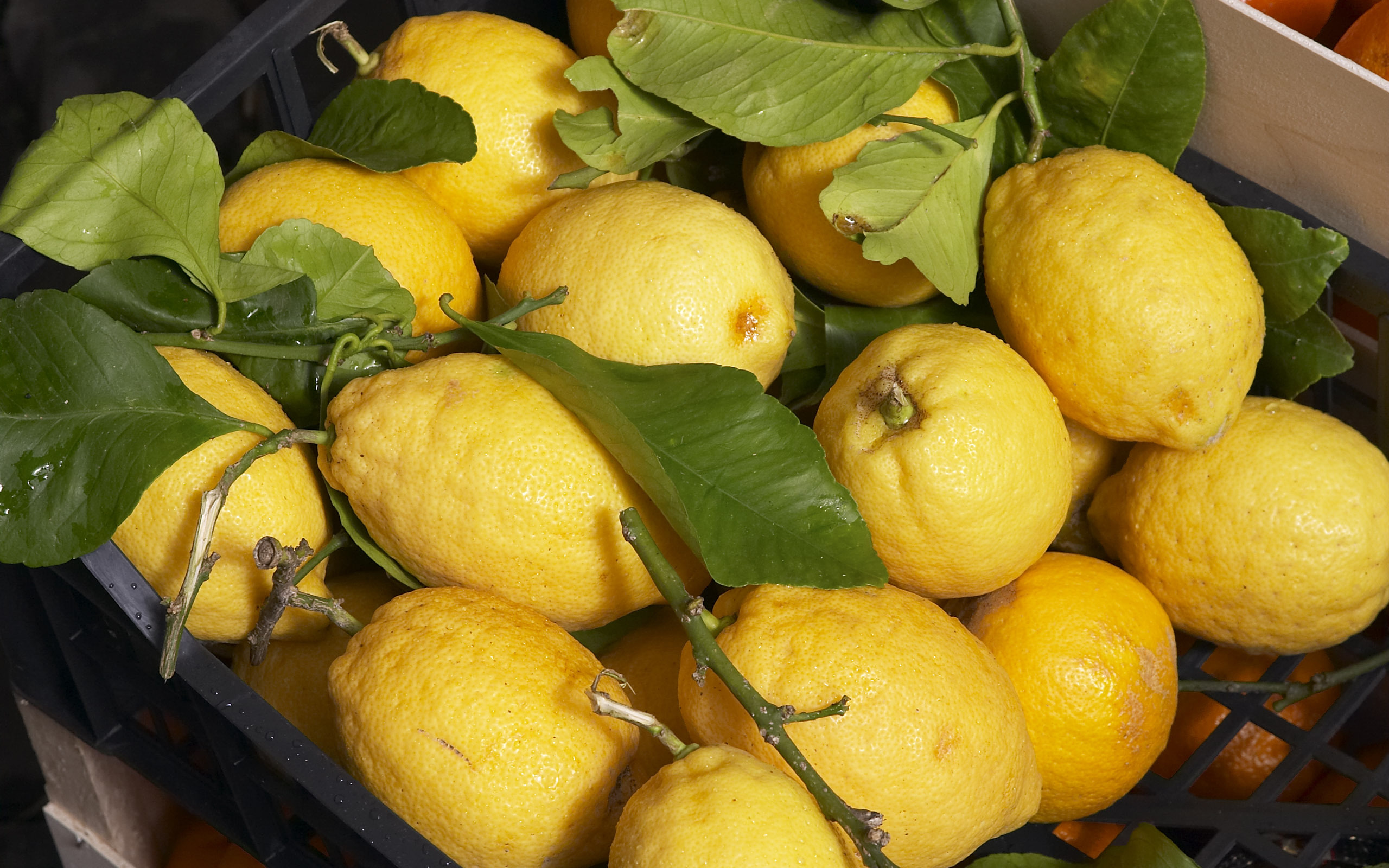 Laden Sie das Obst, Lebensmittel, Zitronen-Bild kostenlos auf Ihren PC-Desktop herunter