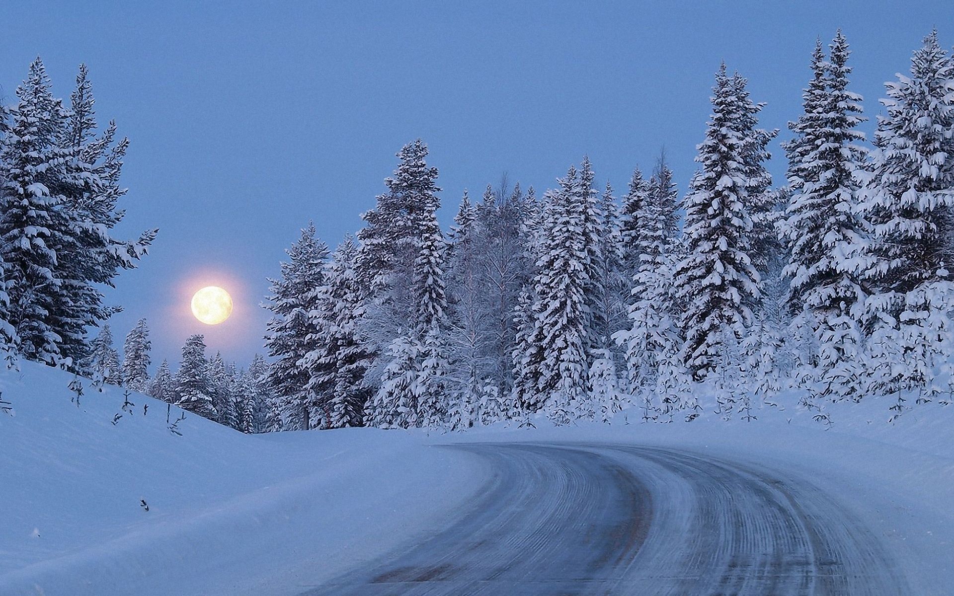 103376 скачать обои дорога, снег, деревья, ночь, полнолуние, природа, небо, лес, подъем - заставки и картинки бесплатно