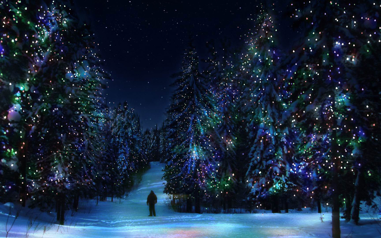 20995 скачать обои елки, новый год (new year), рождество (christmas xmas), черные, праздники, зима - заставки и картинки бесплатно