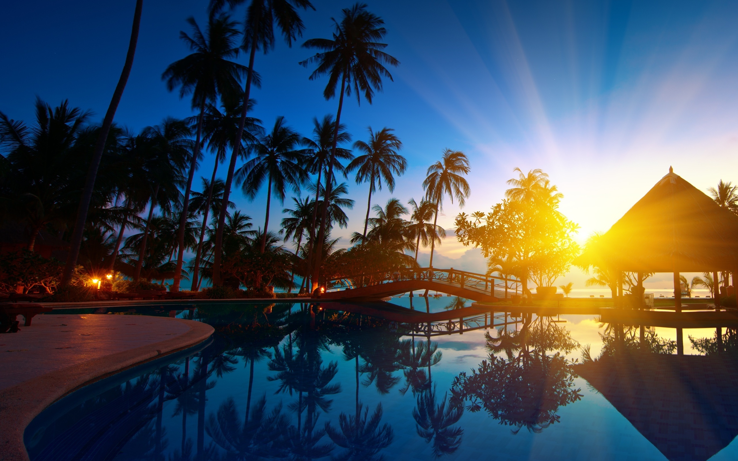 blue, palms, sea, landscape HD wallpaper