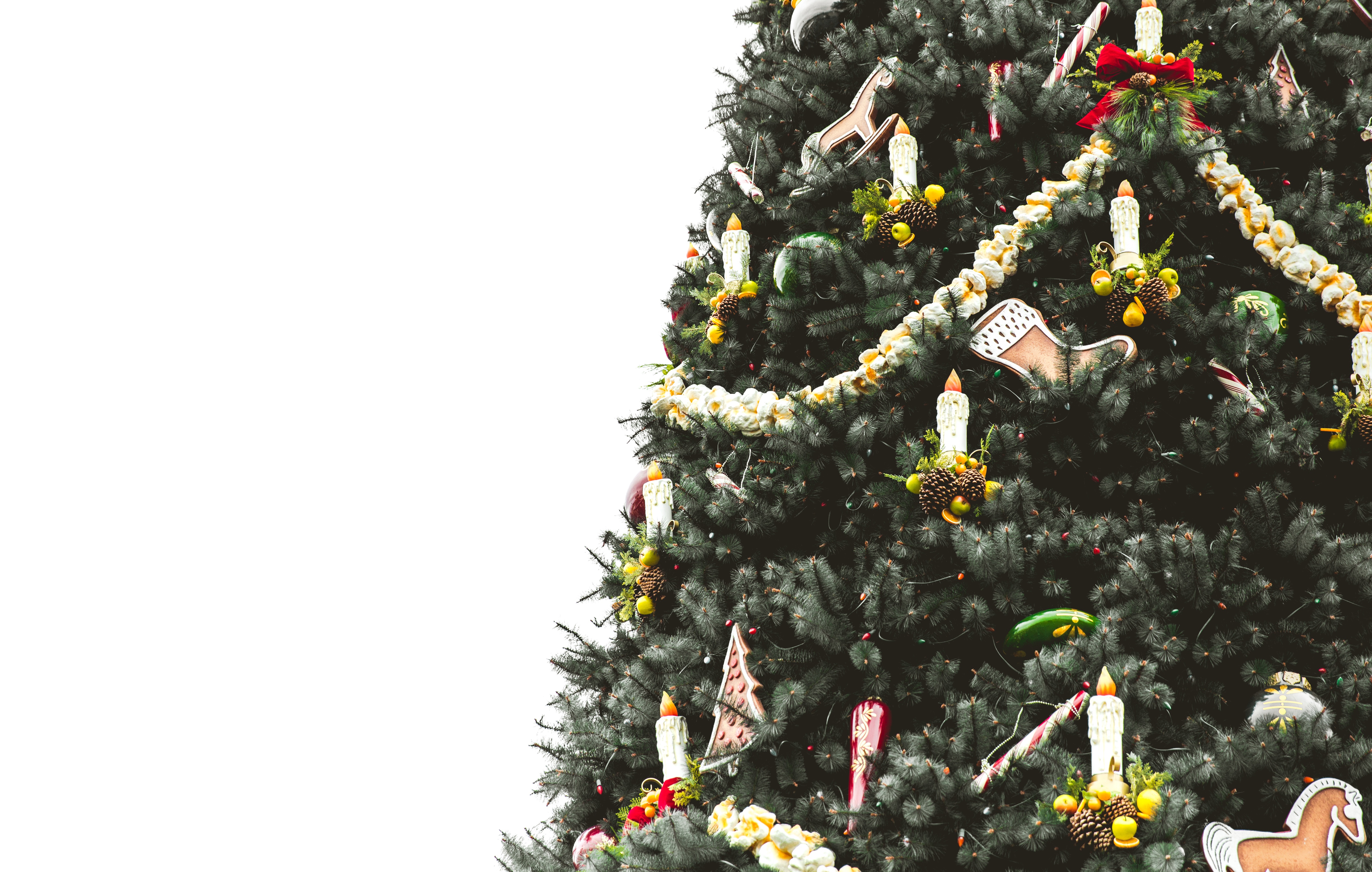 117661 économiseurs d'écran et fonds d'écran Sapin De Noël sur votre téléphone. Téléchargez fêtes, décorations, bougies, arbre de noël images gratuitement