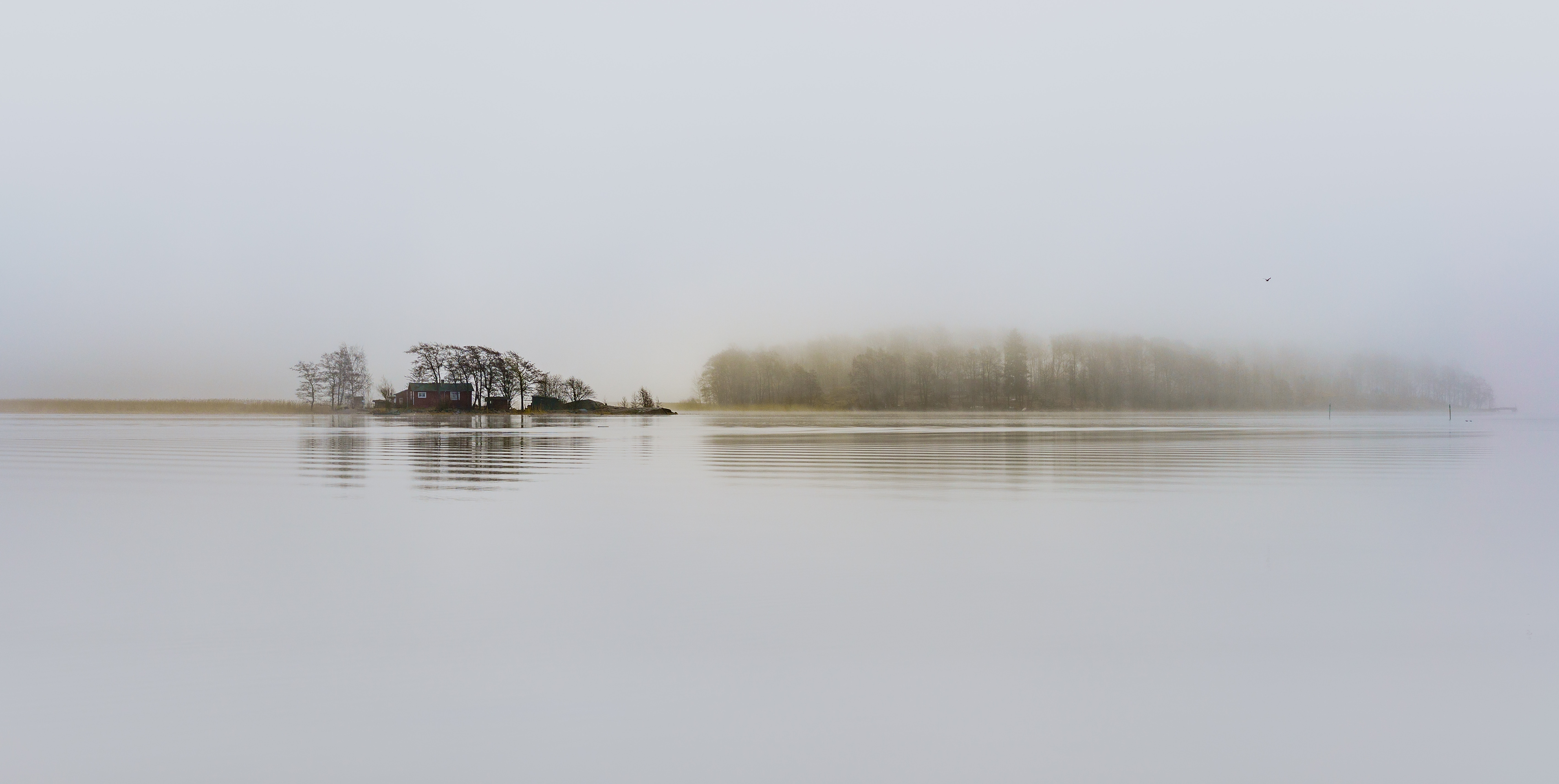 Laden Sie das Bäume, See, Nebel, Minimalismus, Kleines Haus, Lodge, Stille, Helsinki, Finnland-Bild kostenlos auf Ihren PC-Desktop herunter