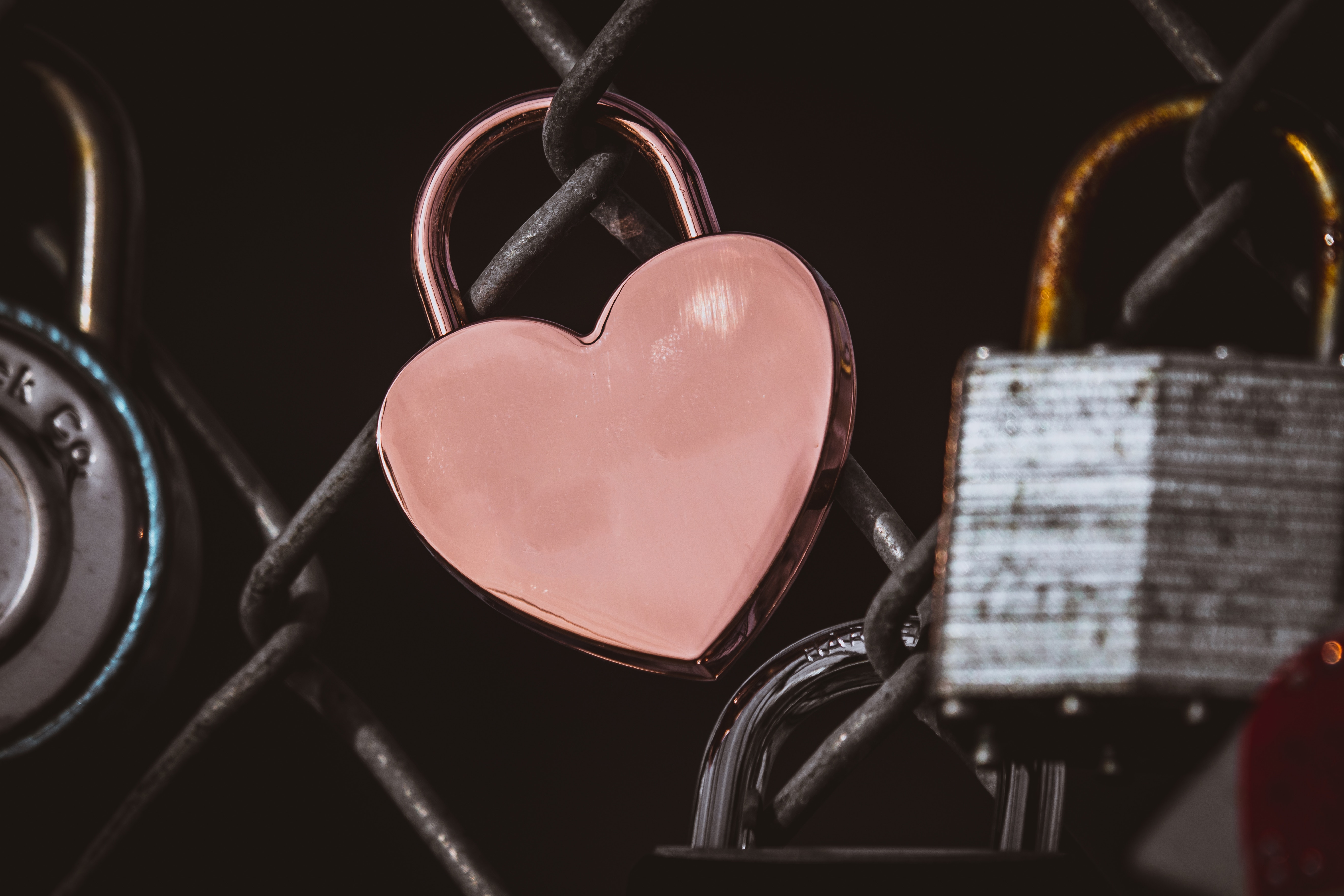 Hearts pink, cerde, lock, love Free Stock Photos