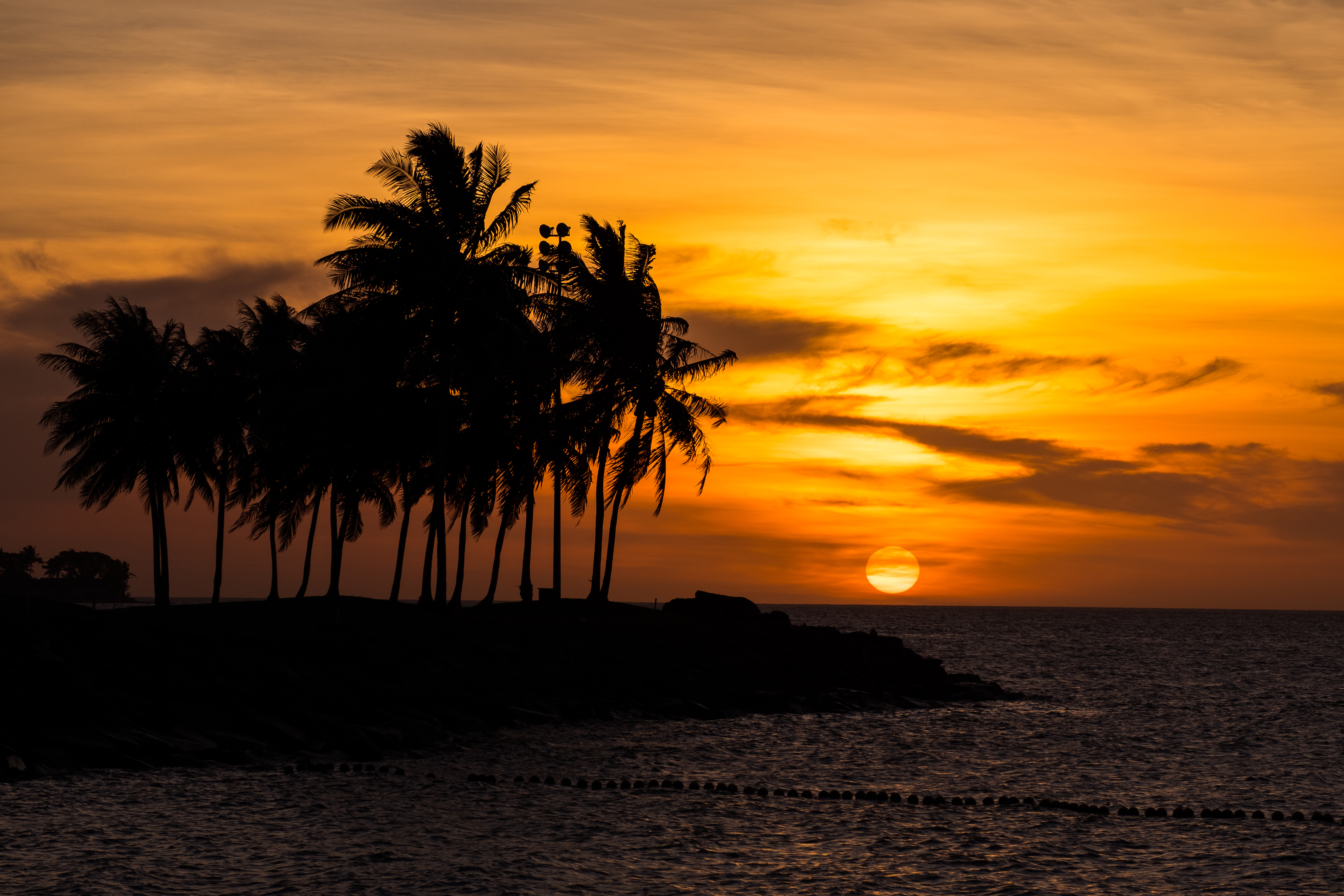 118242 Hintergrundbild herunterladen palme, sunset, sea, strand, dunkel, palm - Bildschirmschoner und Bilder kostenlos