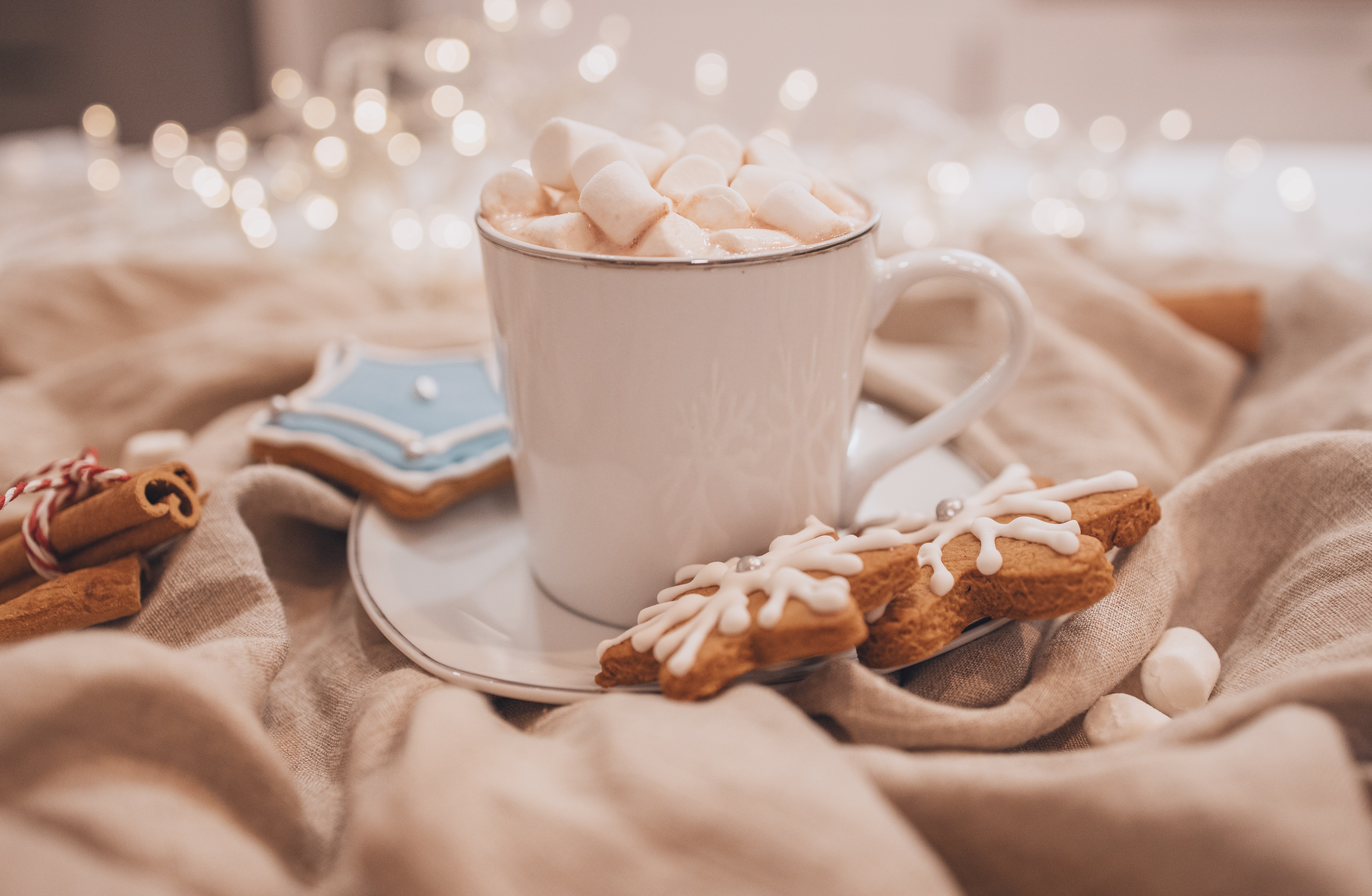 white, food, cookies, cup, marshmallow, zephyr HD wallpaper