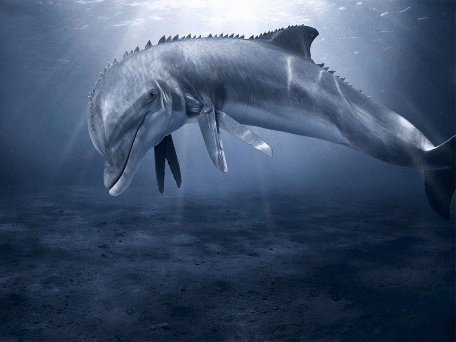71218 скачать обои дельфин, животные, подводный мир, плавать, дно - заставки и картинки бесплатно