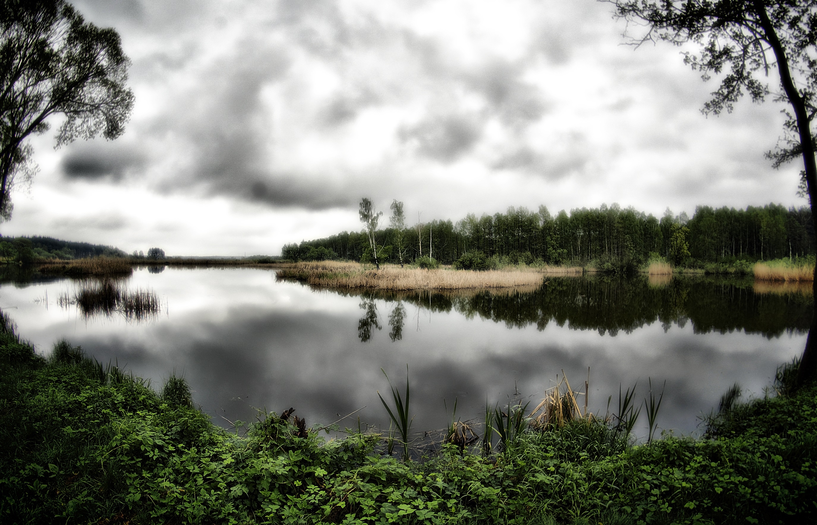 hdr, landscape, nature, trees, clouds, lake High Definition image