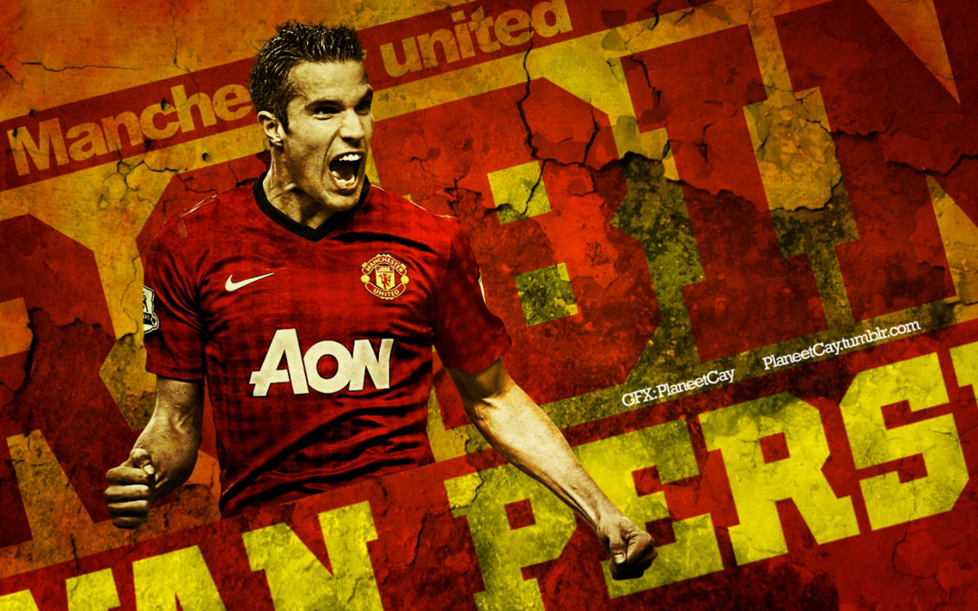 Mobile wallpaper: Sports, Soccer, Robin Van Persie, Manchester United F C,  507460 download the picture for free.