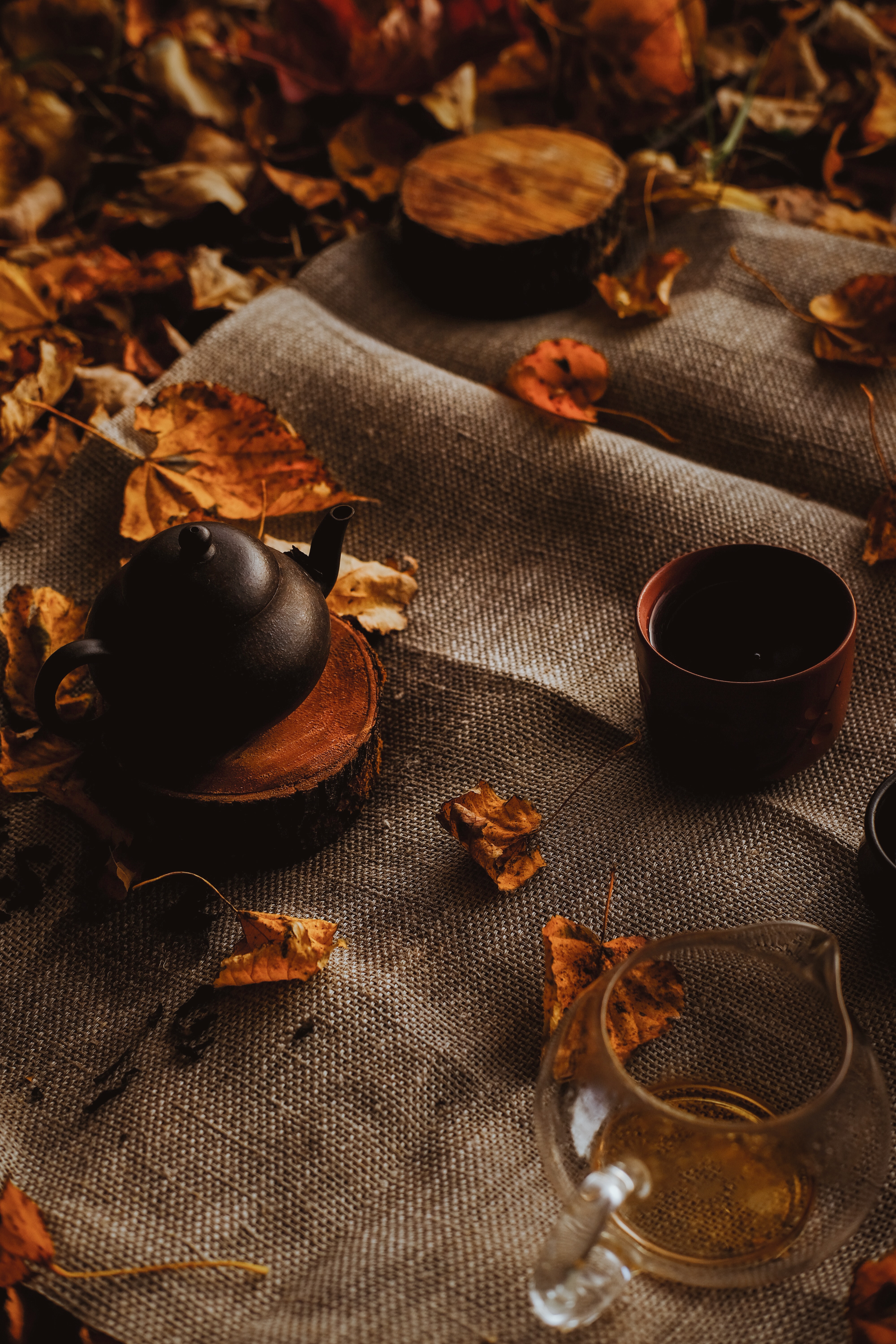 teapot, autumn, leaves, miscellanea, miscellaneous, cloth, kettle