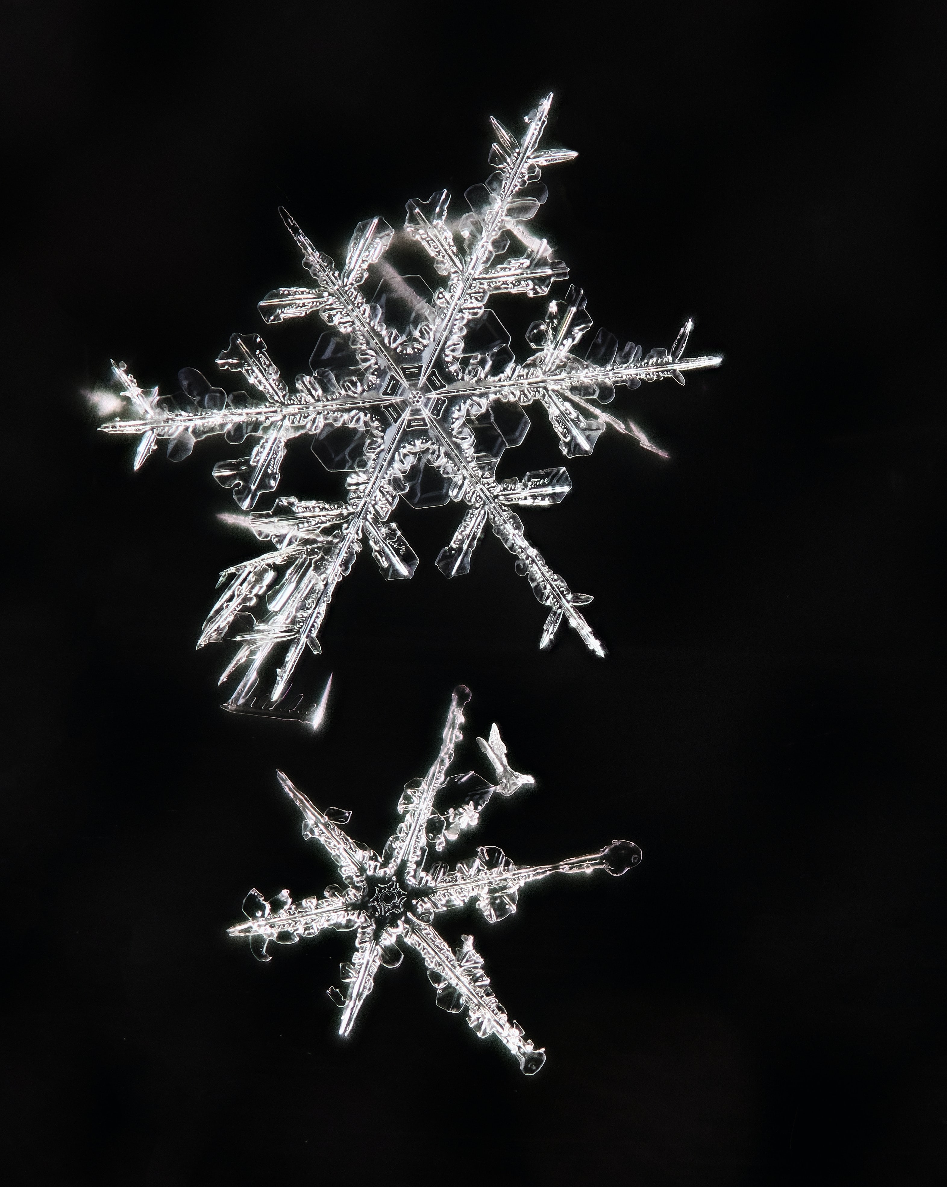 ice, snowflakes, macro, pattern, crystal lock screen backgrounds