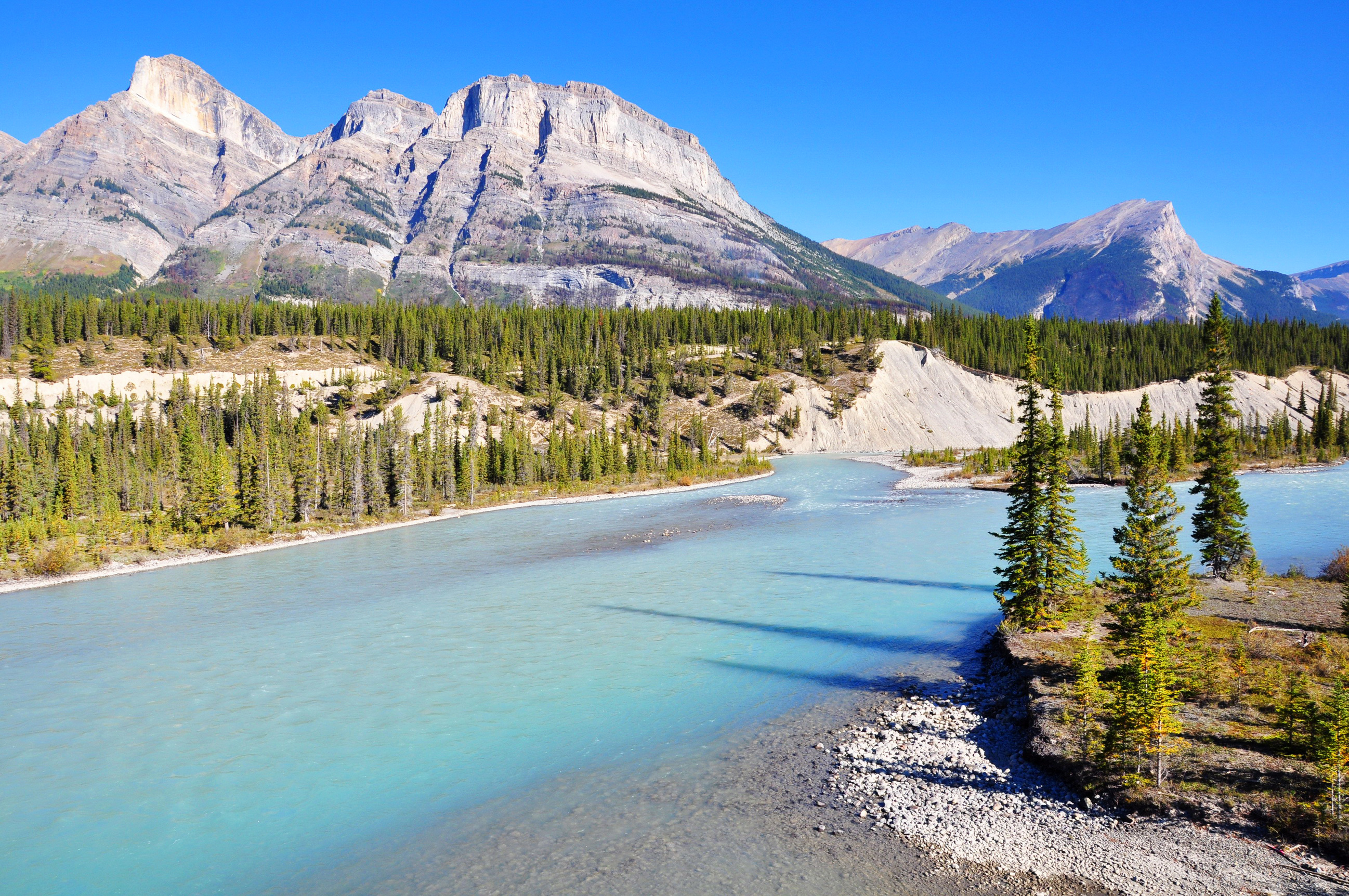 earth, river, banff national park, canada, forest, landscape, mountain, nature