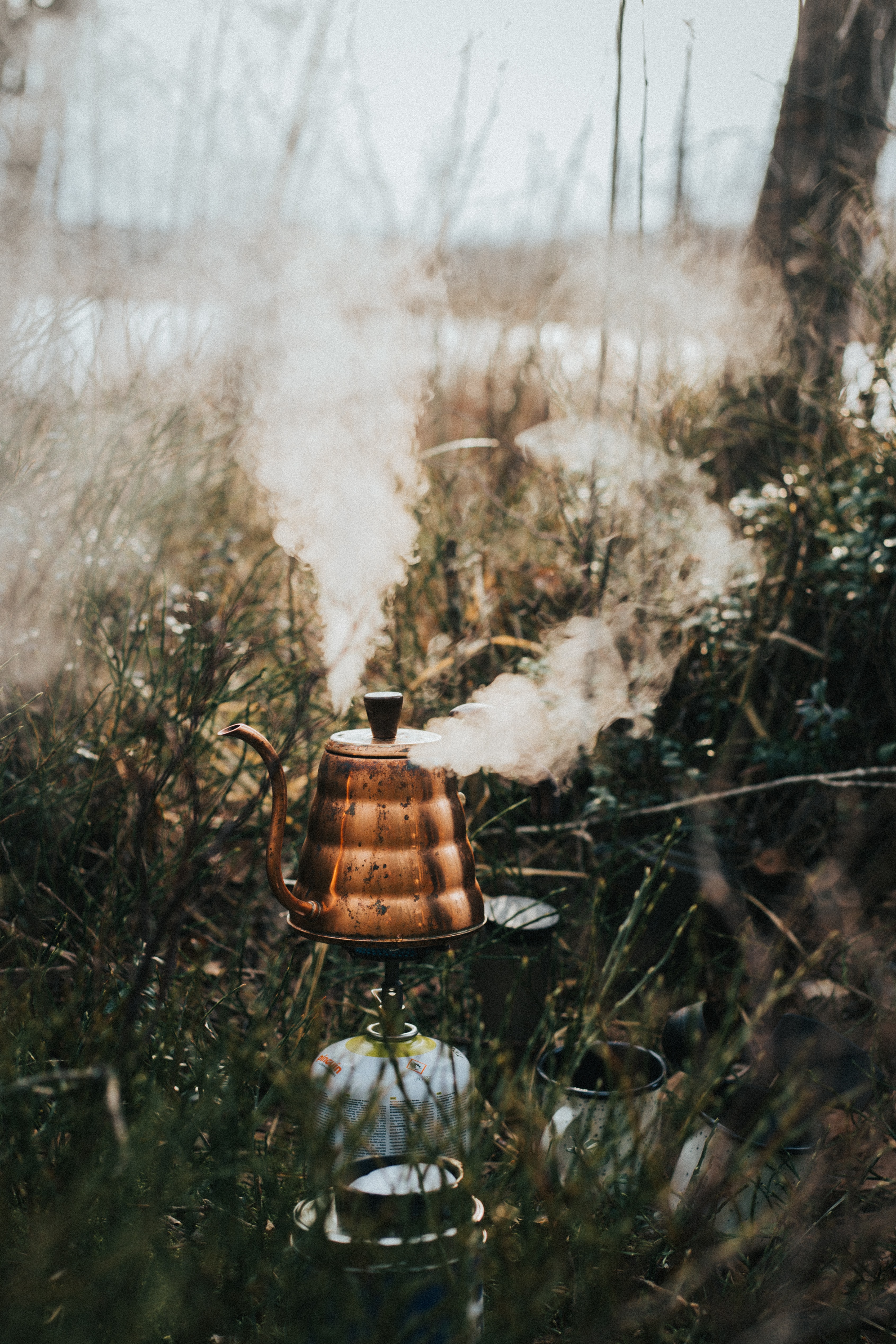 hike, steam, nature, grass, teapot, kettle, campaign