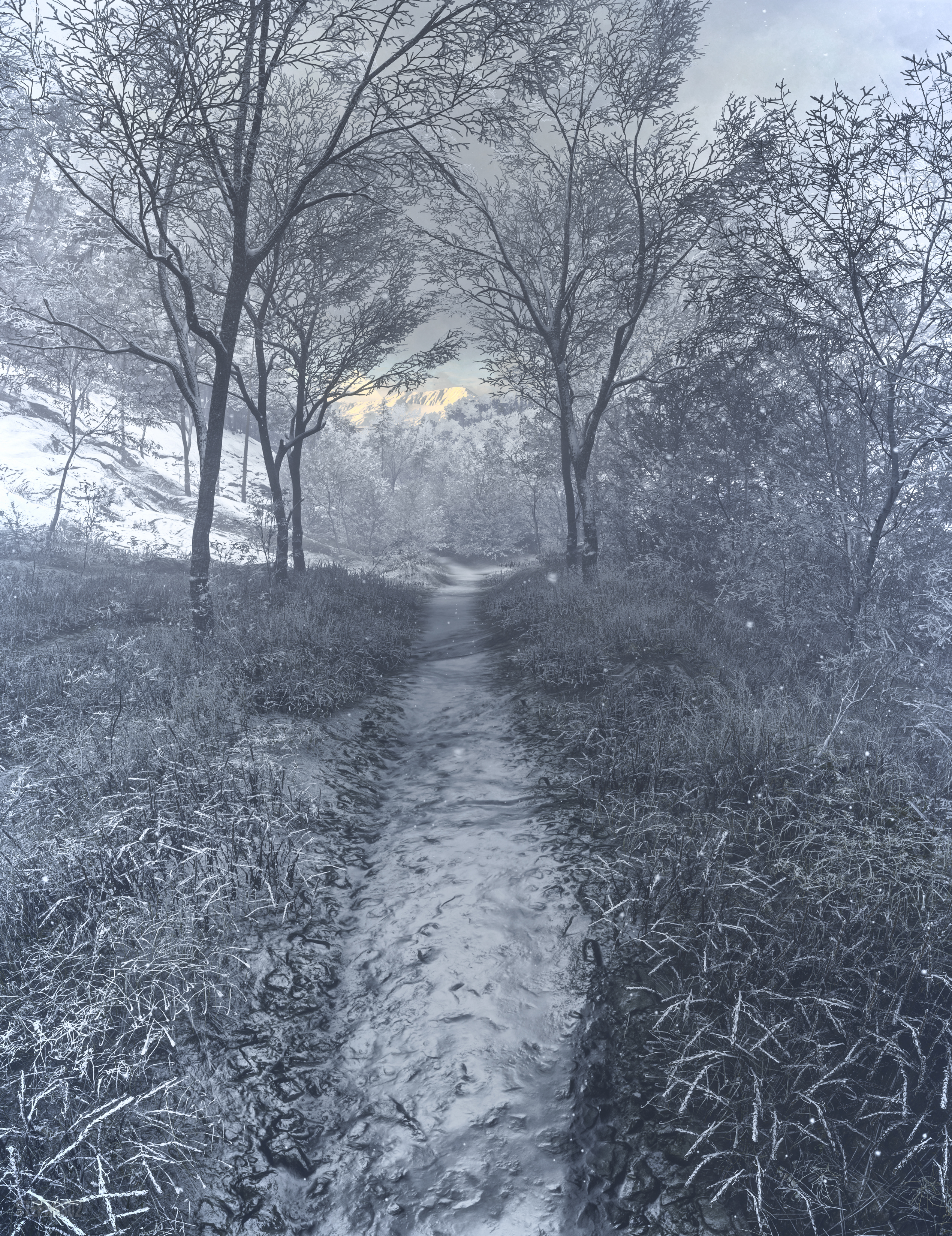Laden Sie das Winter, Kunst, Wald, Frost, Rauhreif, Brook, Bach-Bild kostenlos auf Ihren PC-Desktop herunter
