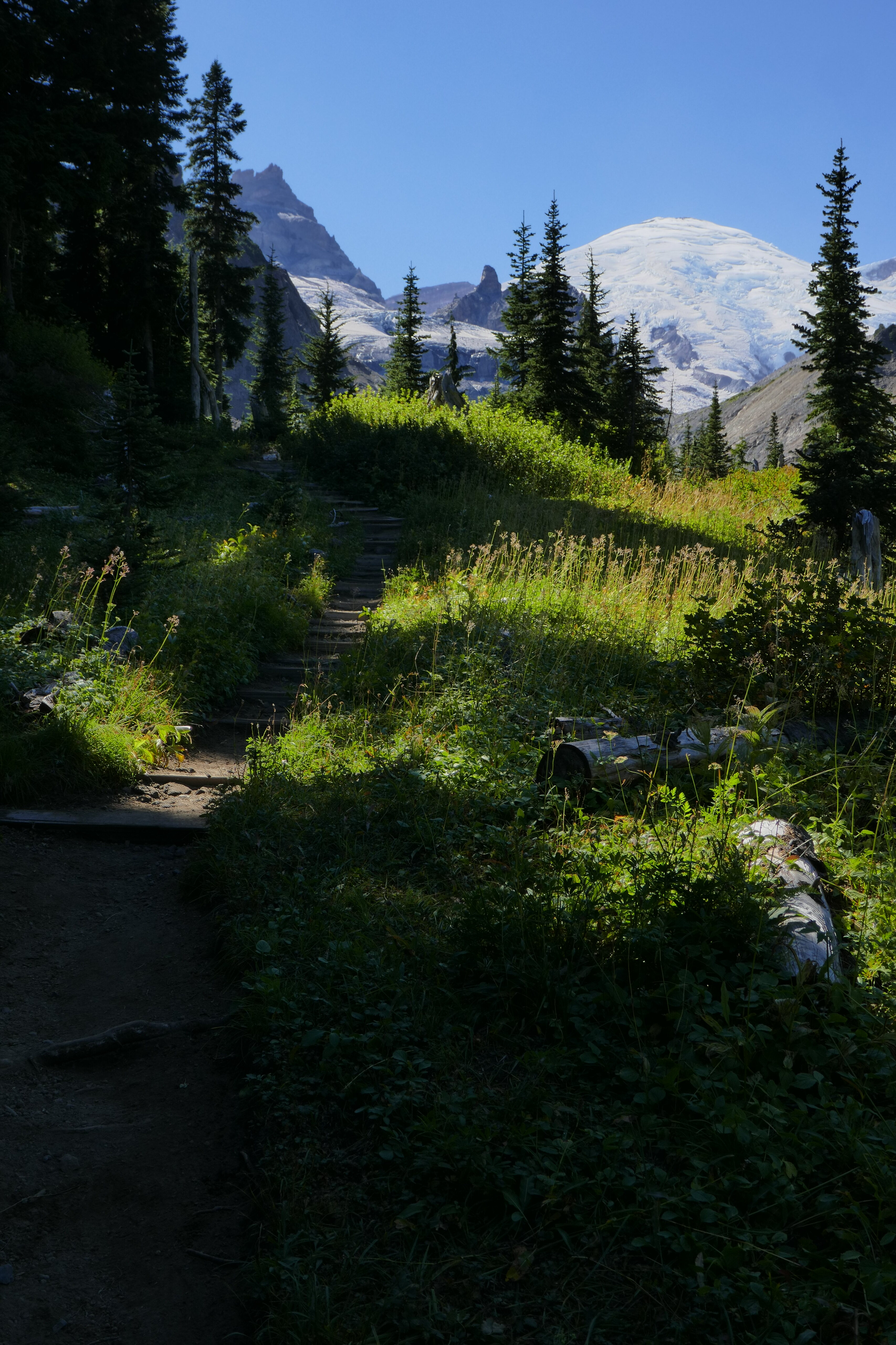 path, nature, trees, grass, mountains
