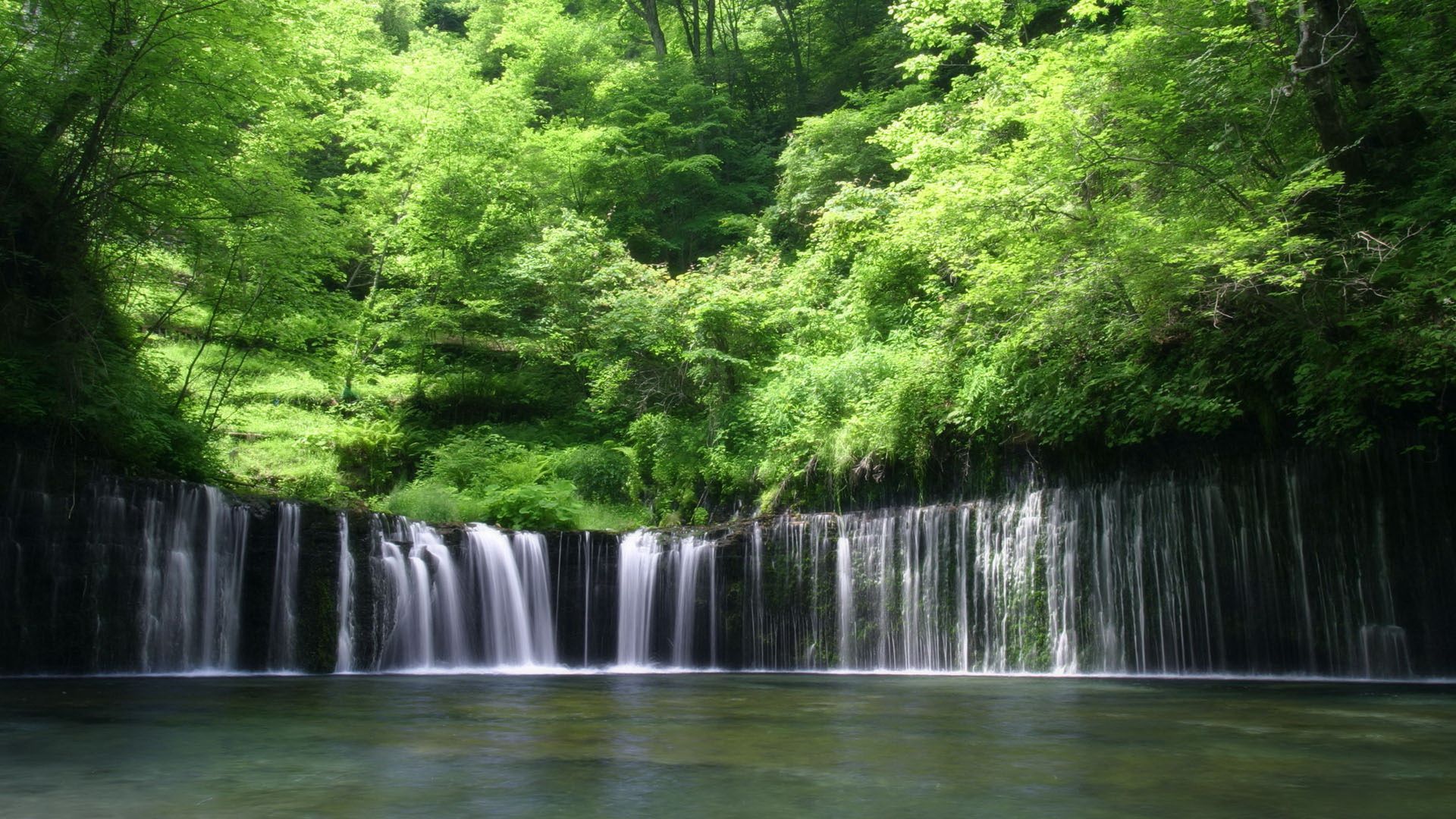 water, nature, trees, waterfall, greens