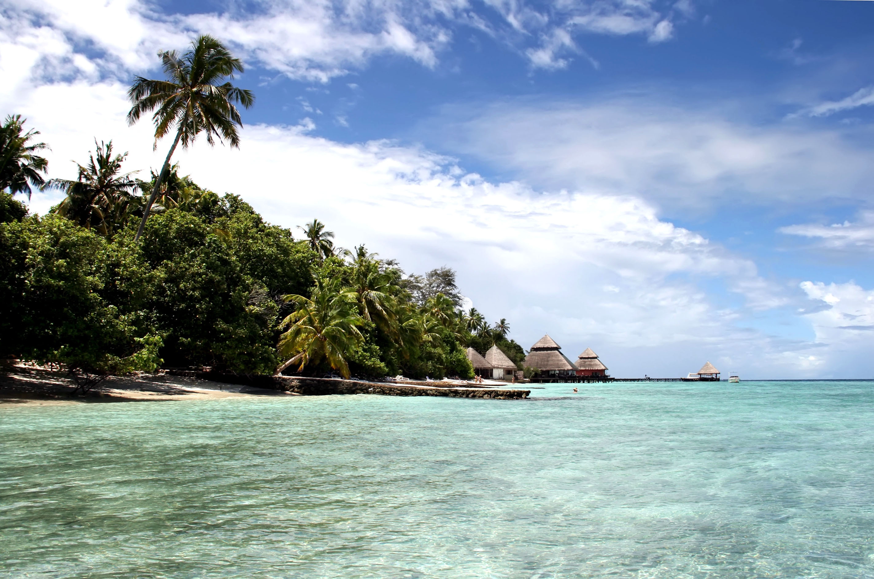 ocean, nature, palms, shore, bank, island, bay, maldives Full HD
