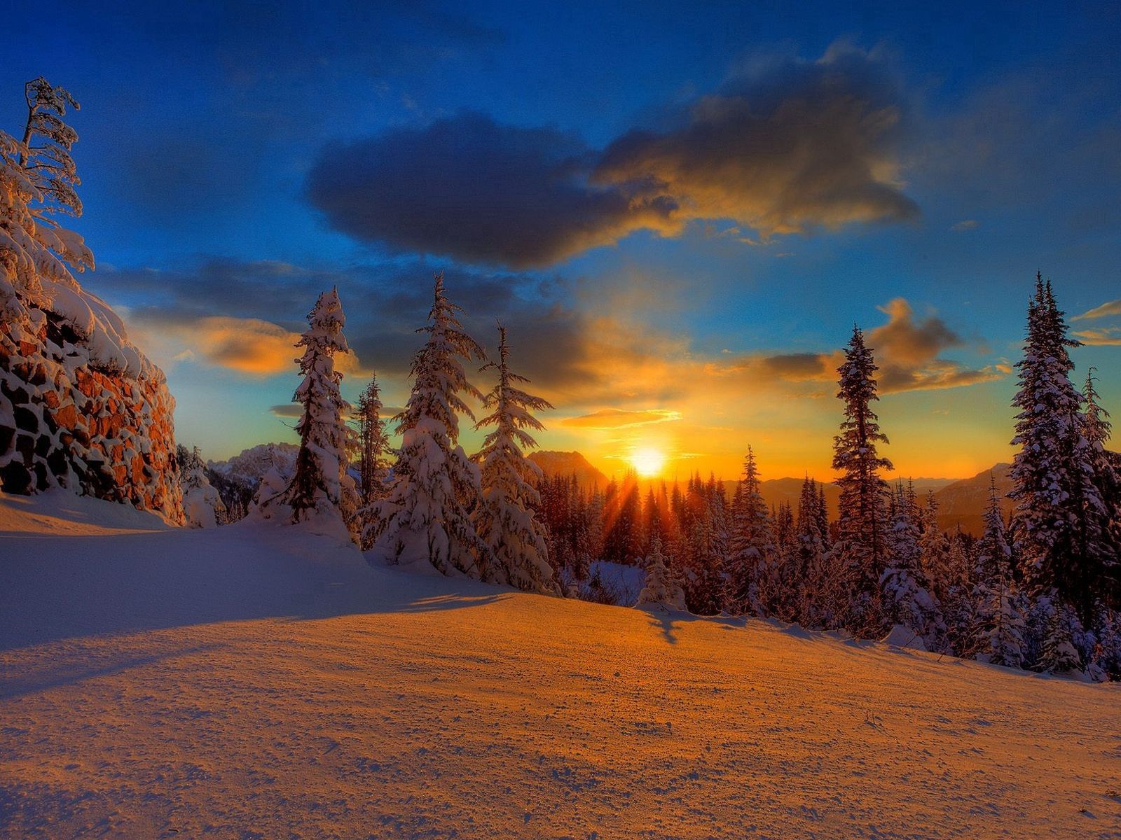 sun, nature, trees, sunset, snow, shadow, evening, ate HD wallpaper