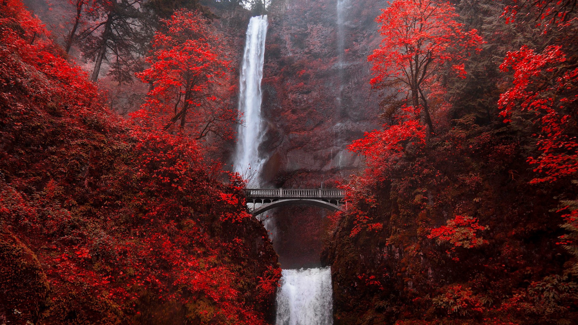 Водопад Малтнома Орегон США