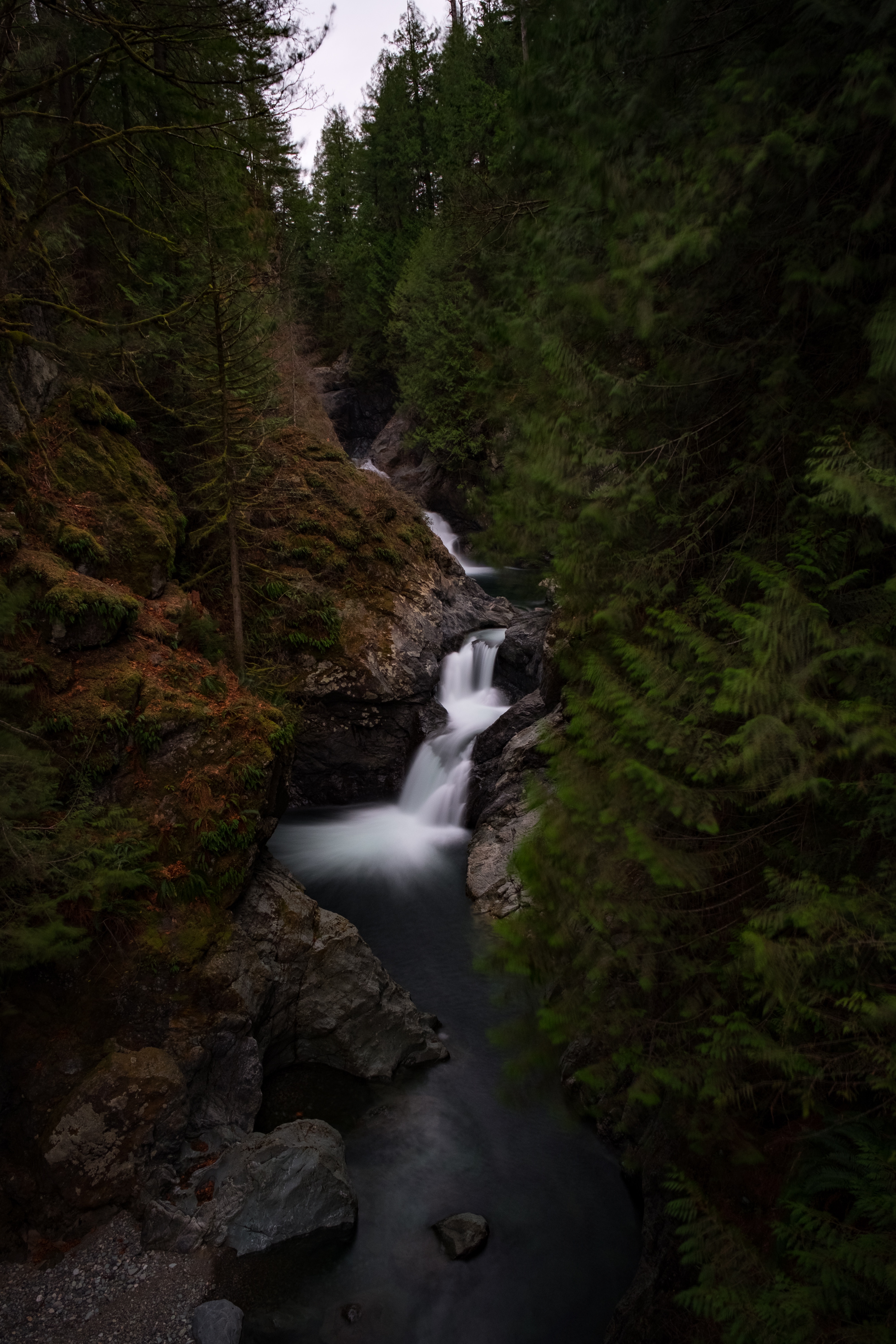 nature, rivers, trees, waterfall, forest, flow wallpapers for tablet