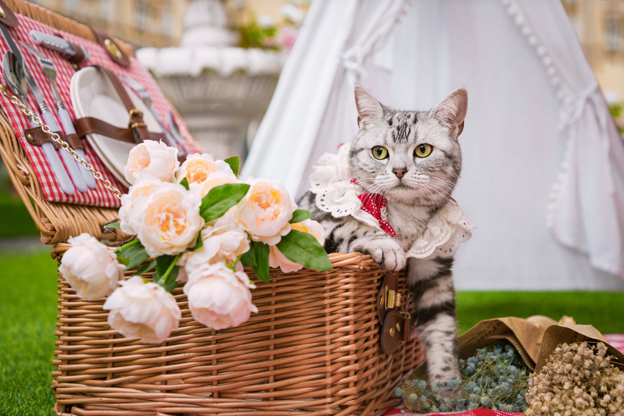 Котенок в корзинке с цветами