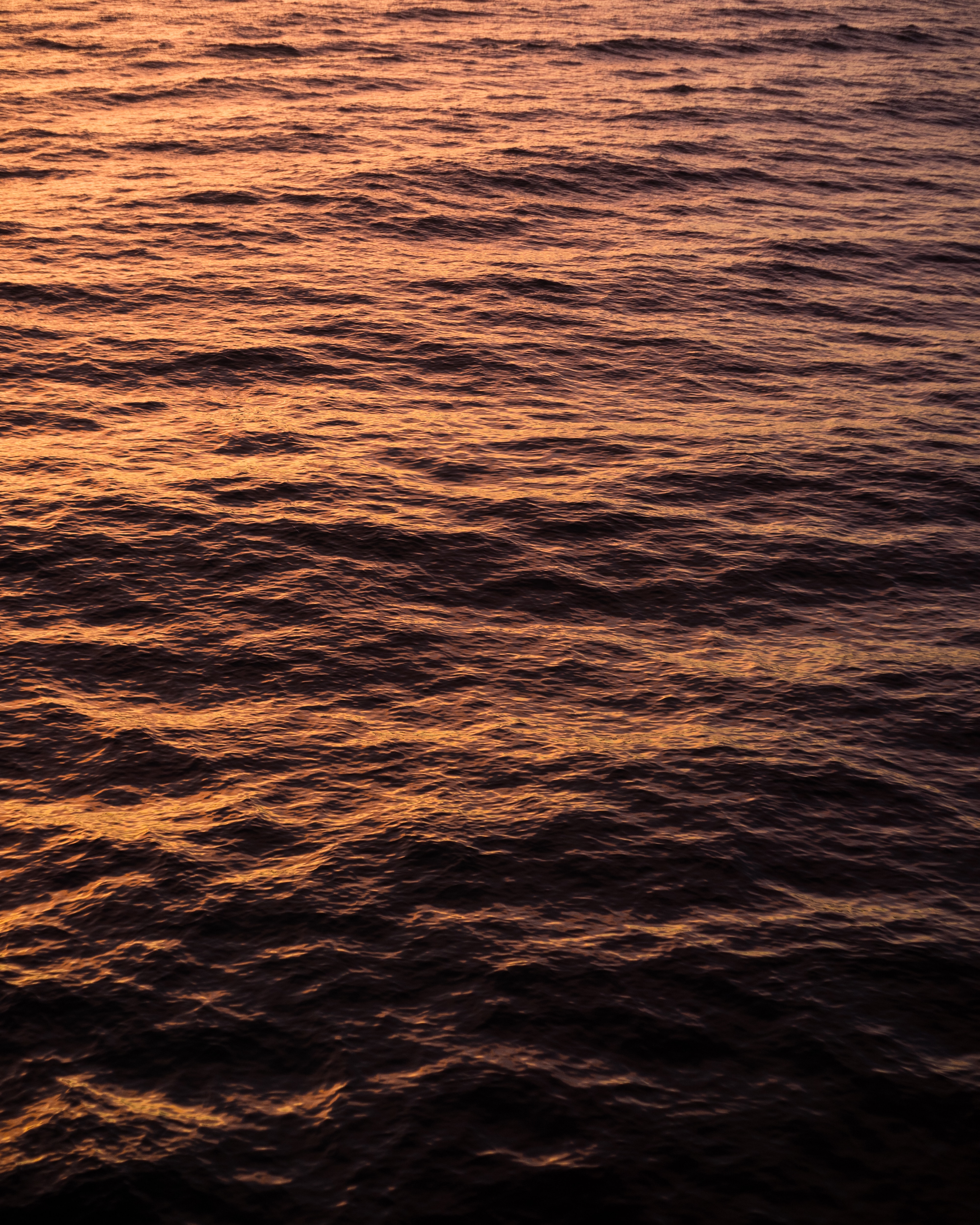 113351 Hintergrundbild herunterladen sea, natur, wasser, sunset, waves, wellen, ripple - Bildschirmschoner und Bilder kostenlos