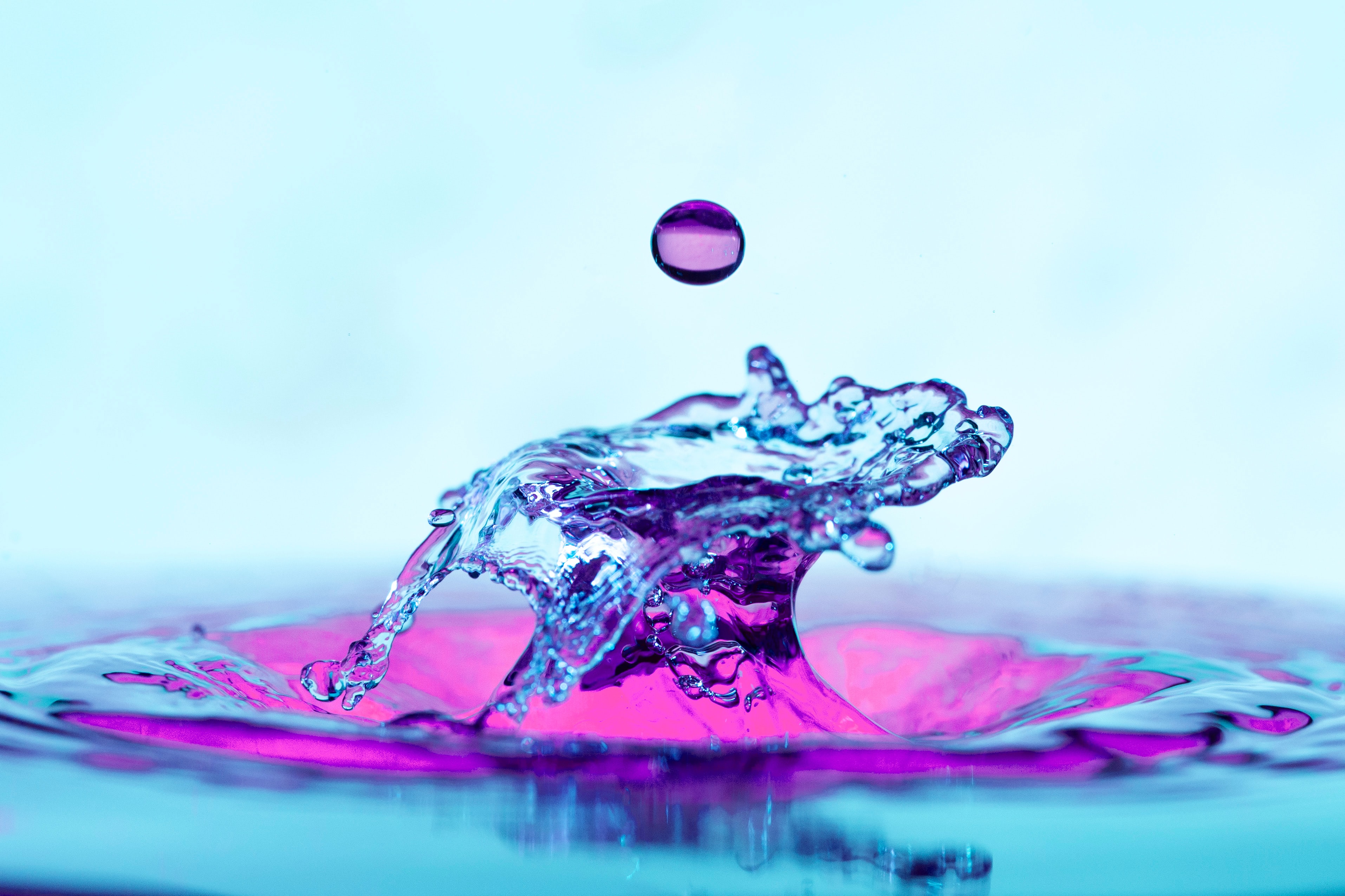water, violet, macro, purple, drop, splash 2160p