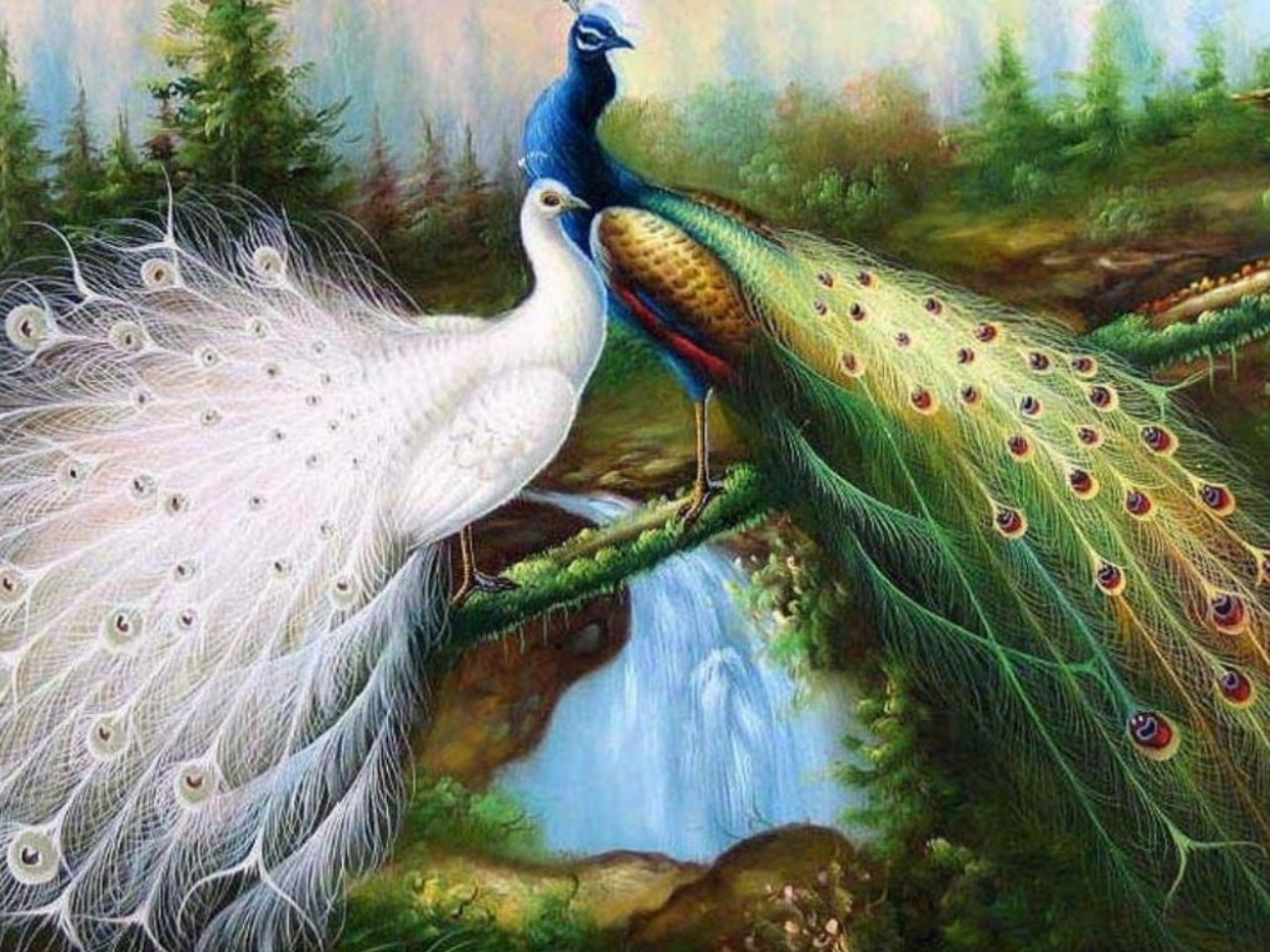 Mobile wallpaper peacock, bird, animal