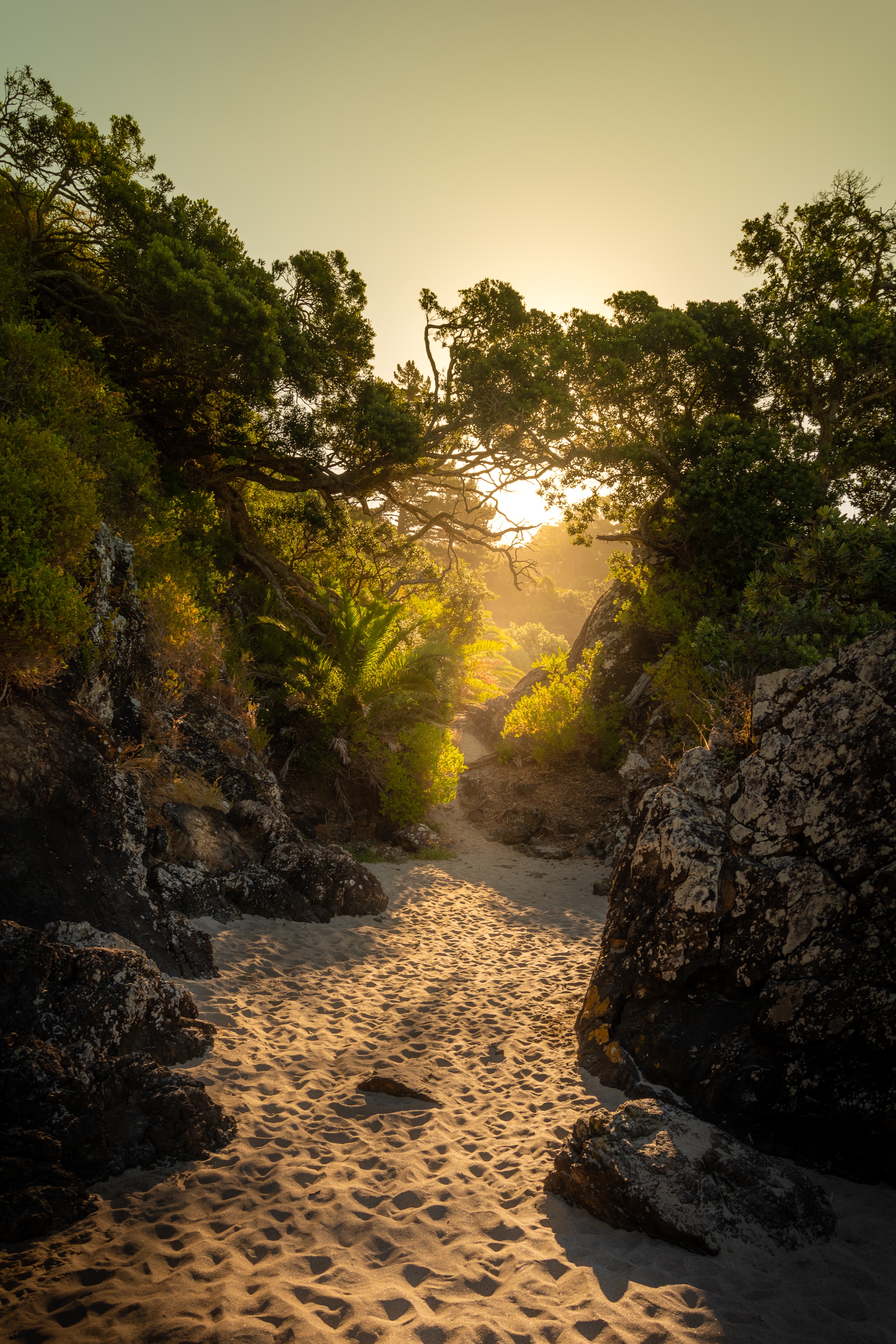 rocks, island, trees, nature, sand, sunlight phone background