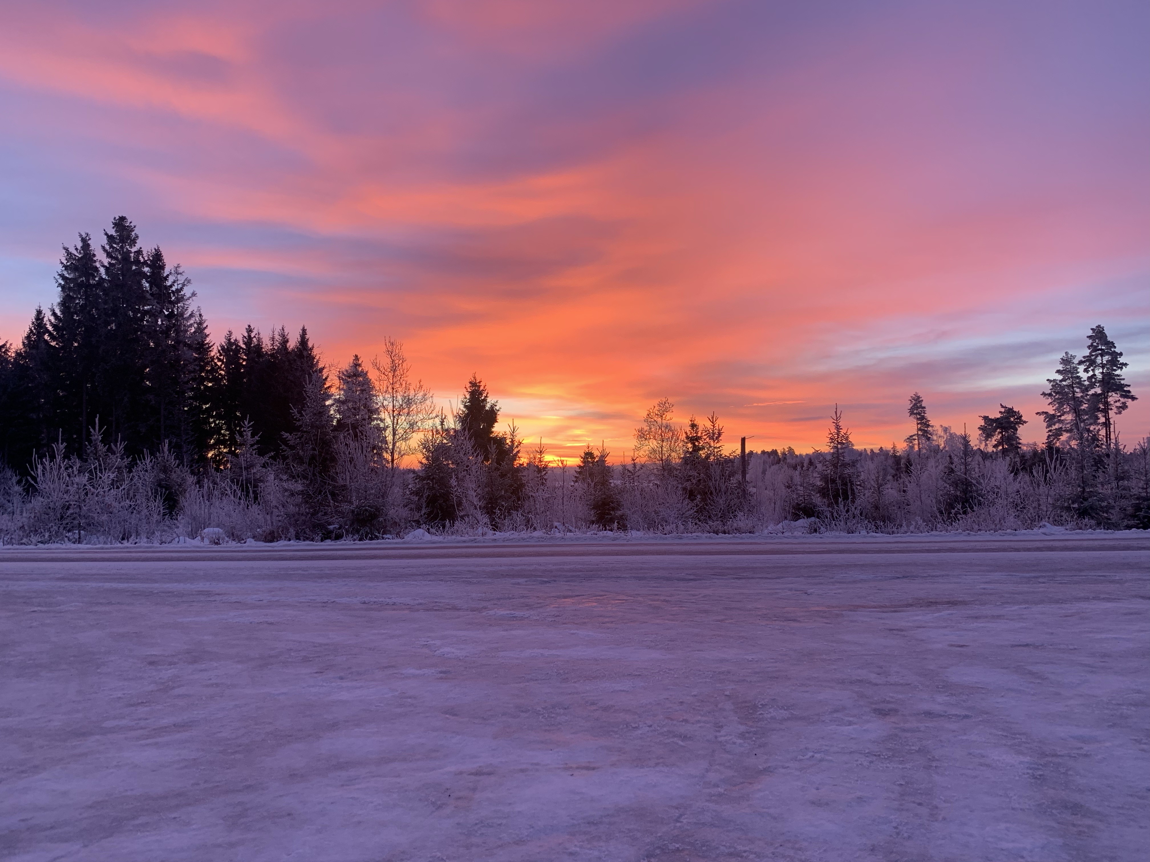 Mobile Wallpaper Dawn horizon, nature, snow covered, trees