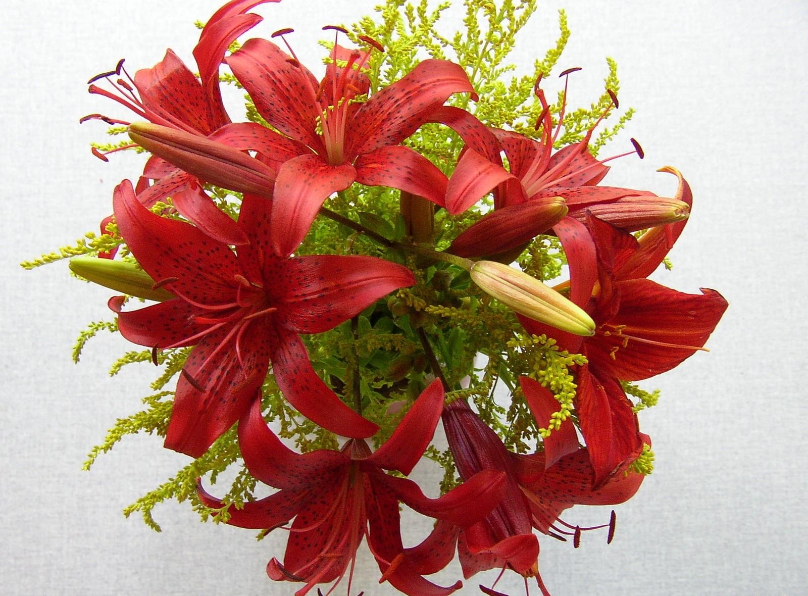 bouquet, flowers, lilies, close-up, stamens wallpaper for mobile