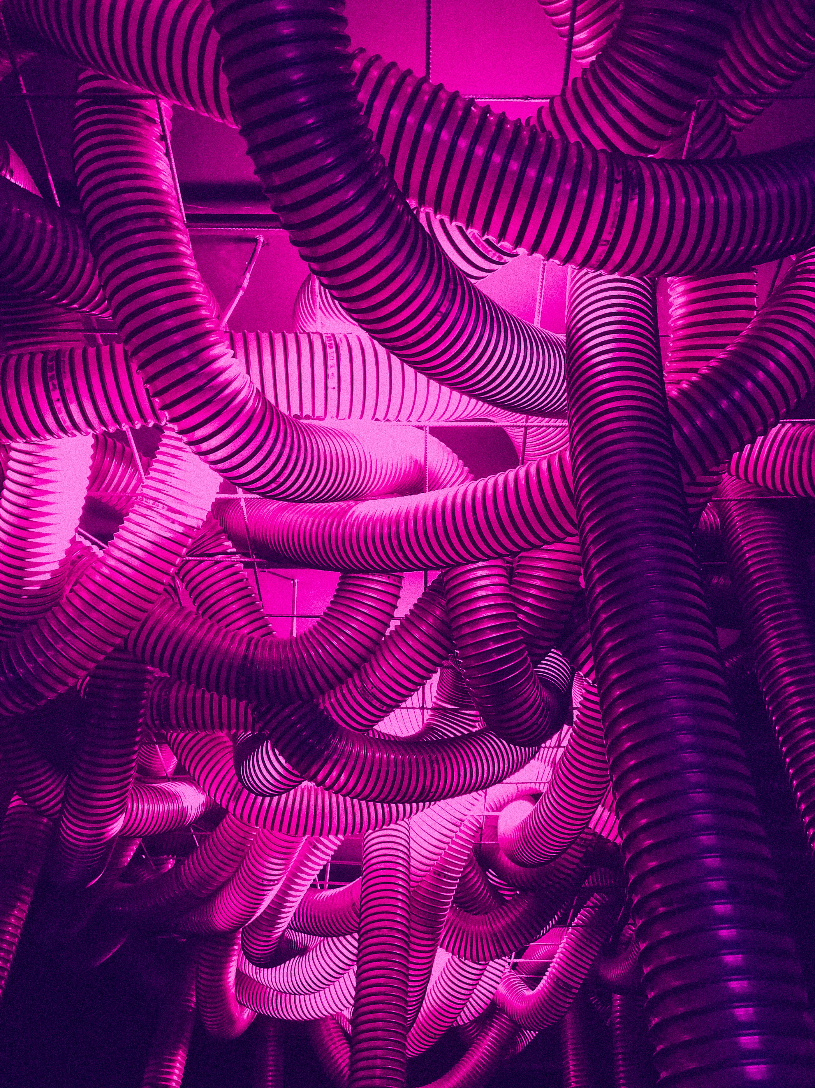 Free Images purple, neon, violet, pipes Tubing
