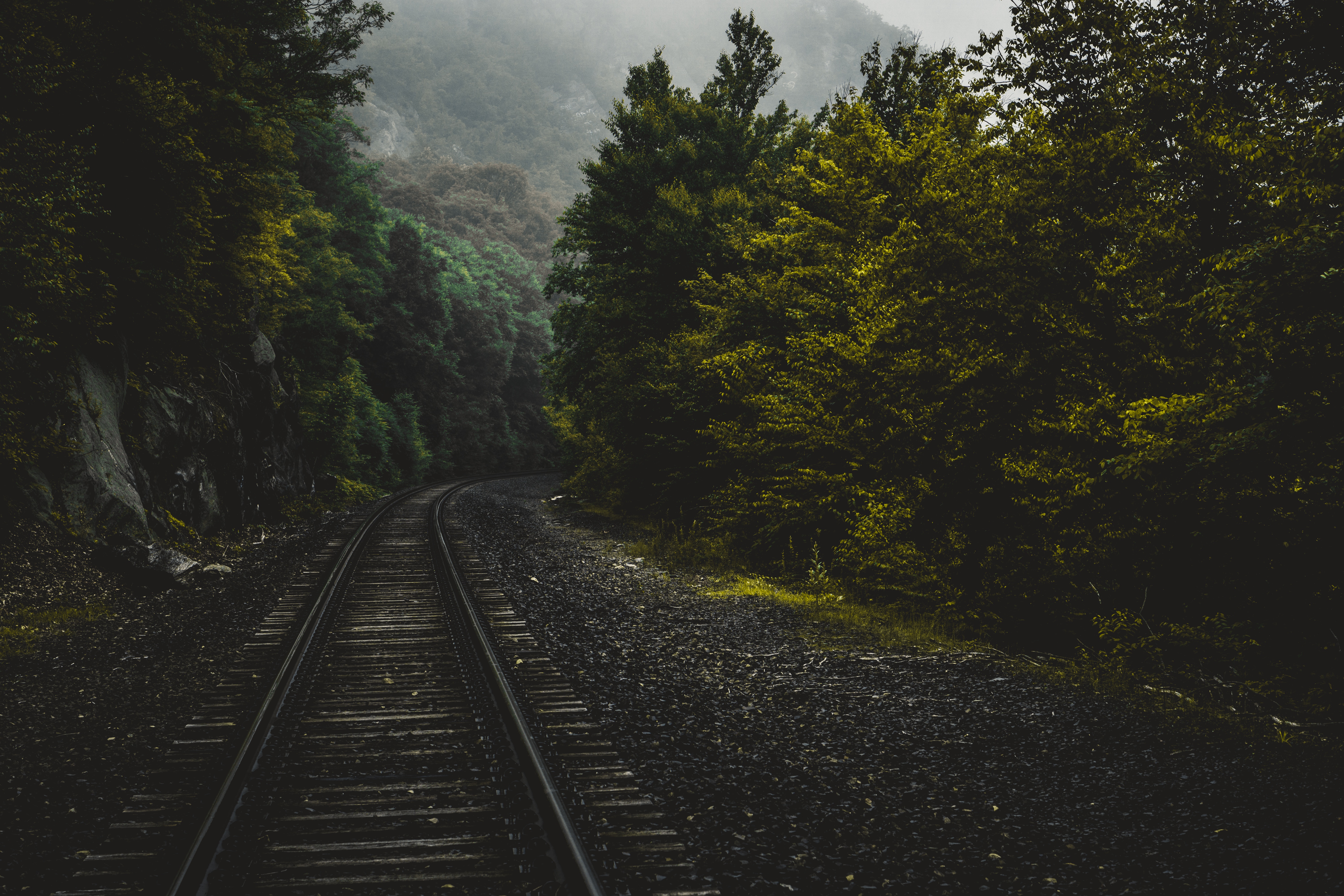 railway, united states, trees, forest, nature, usa, connecticut Free Stock Photo