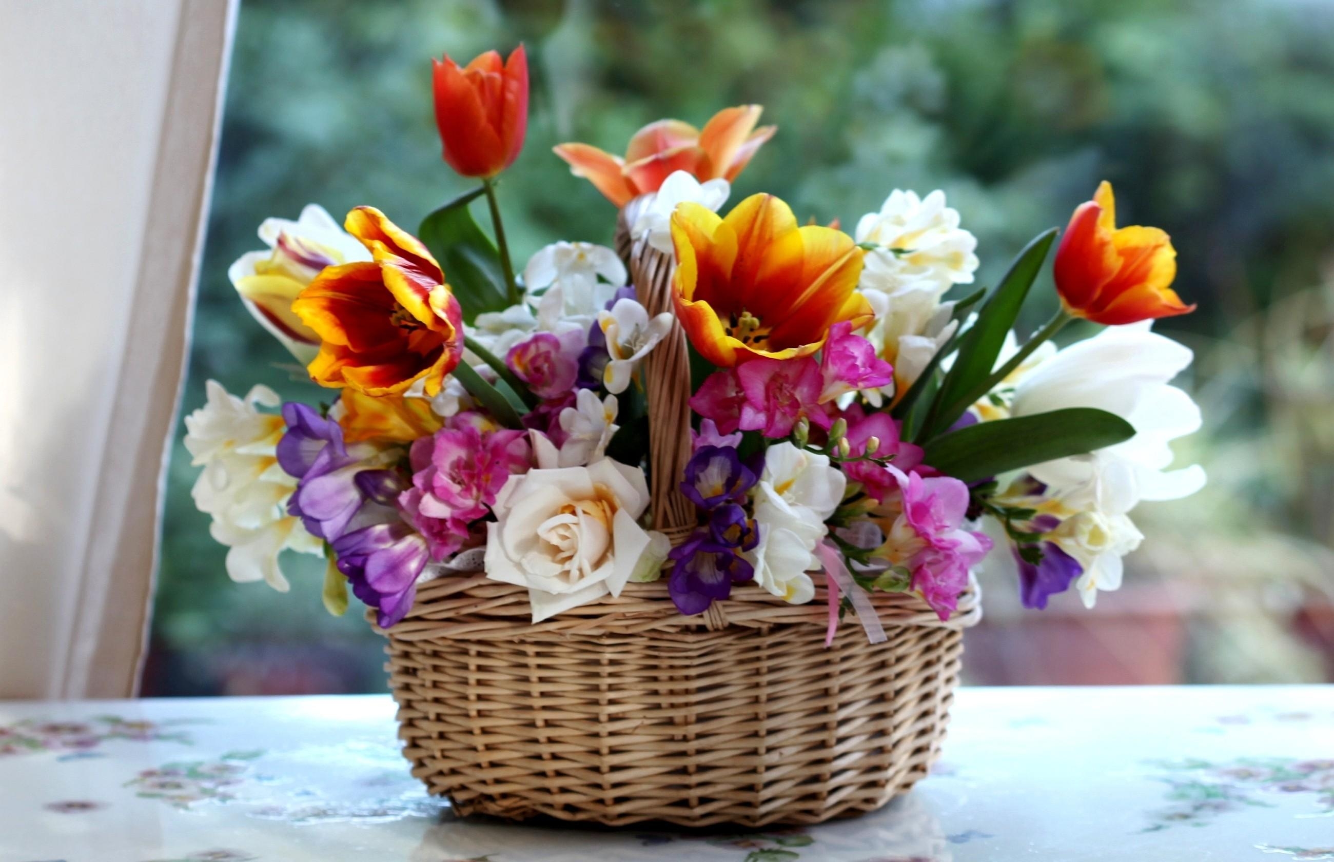 75203 descargar fondo de pantalla tulipanes, flores, roses, cesta, canasta, composición, combinación, fresia, freesia: protectores de pantalla e imágenes gratis