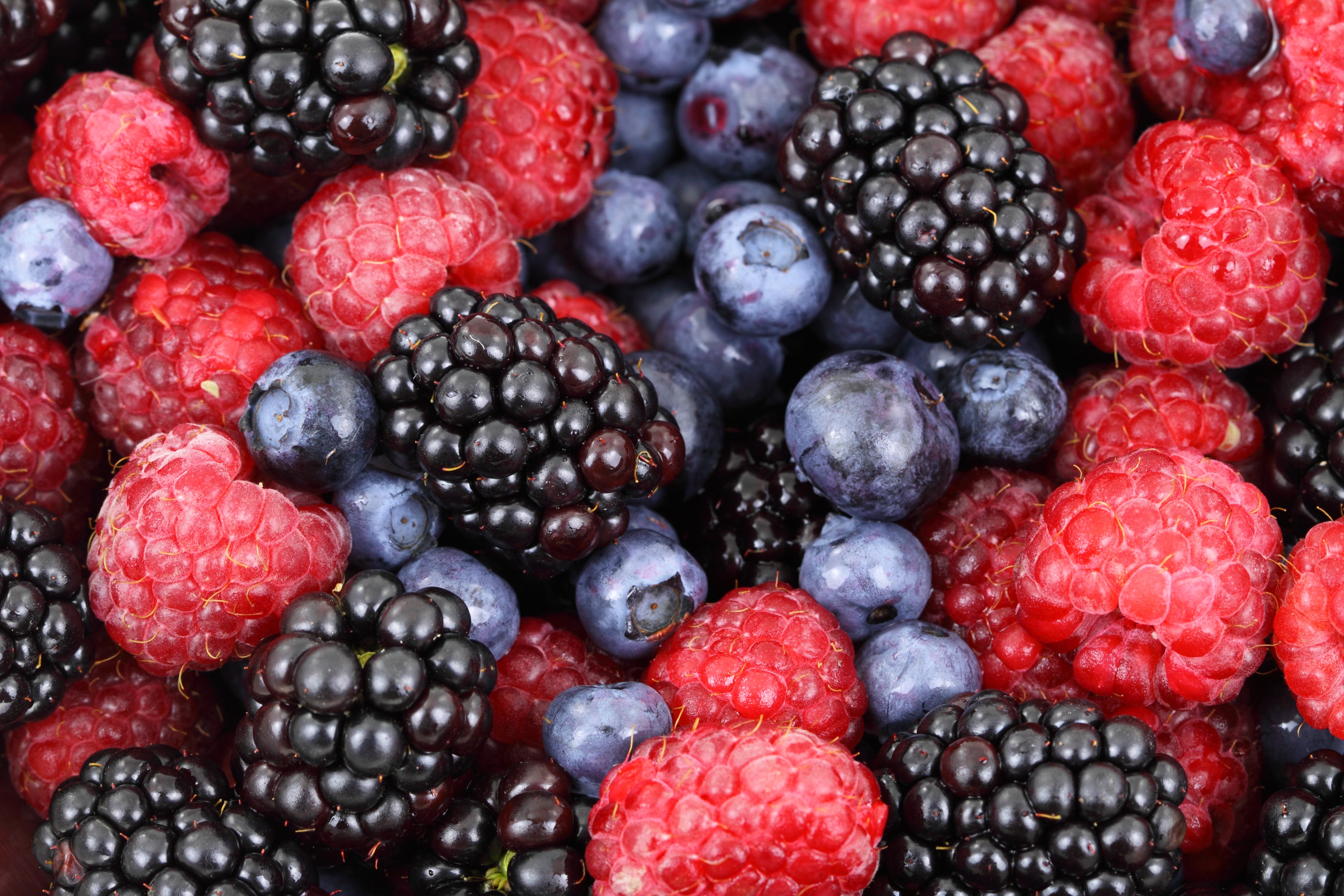 bilberries, berries, food, raspberry, blackberry 2160p