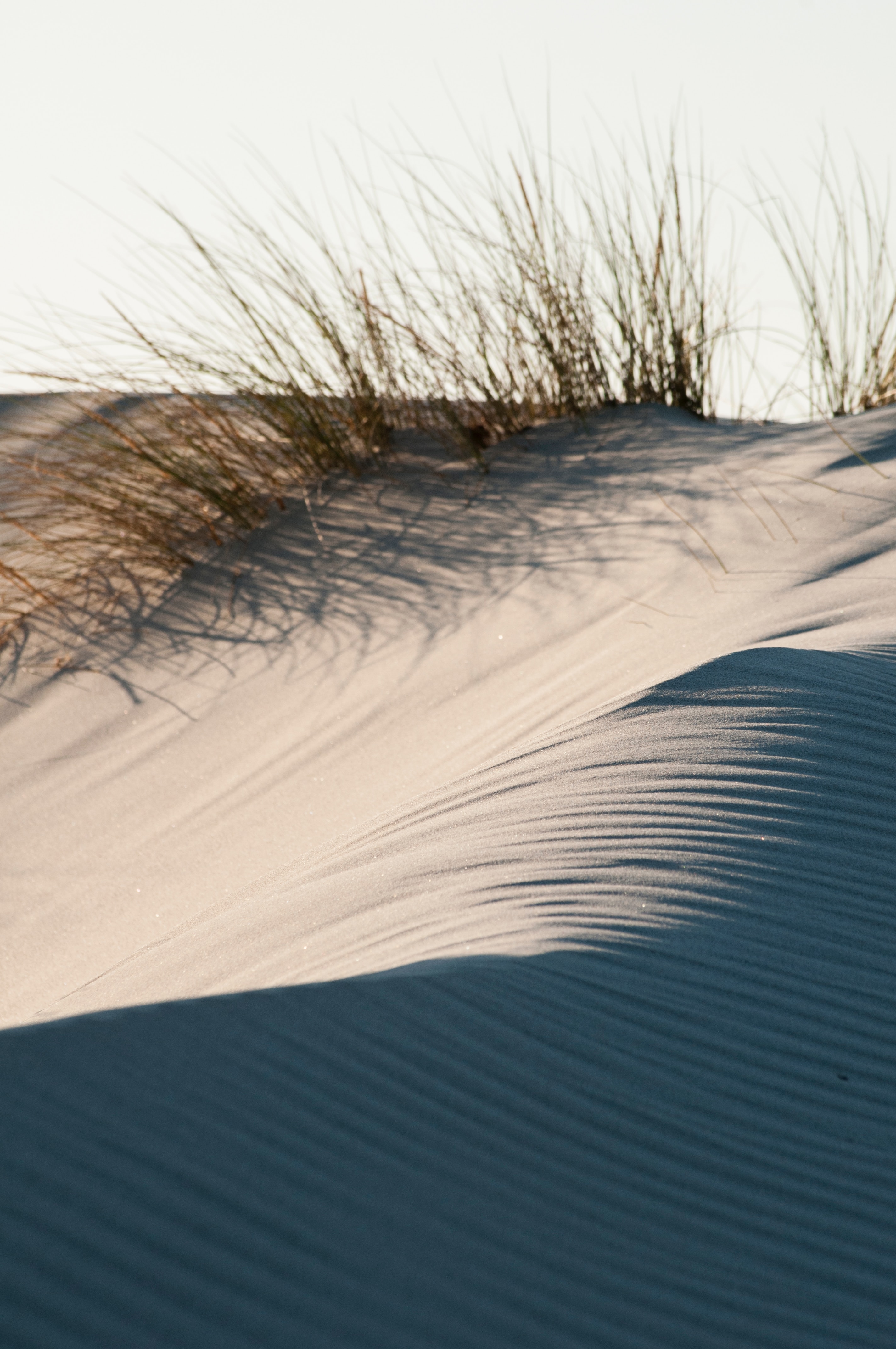 Handy-Wallpaper Natur, Grass, Sand, Wüste, Dünen, Links kostenlos herunterladen.