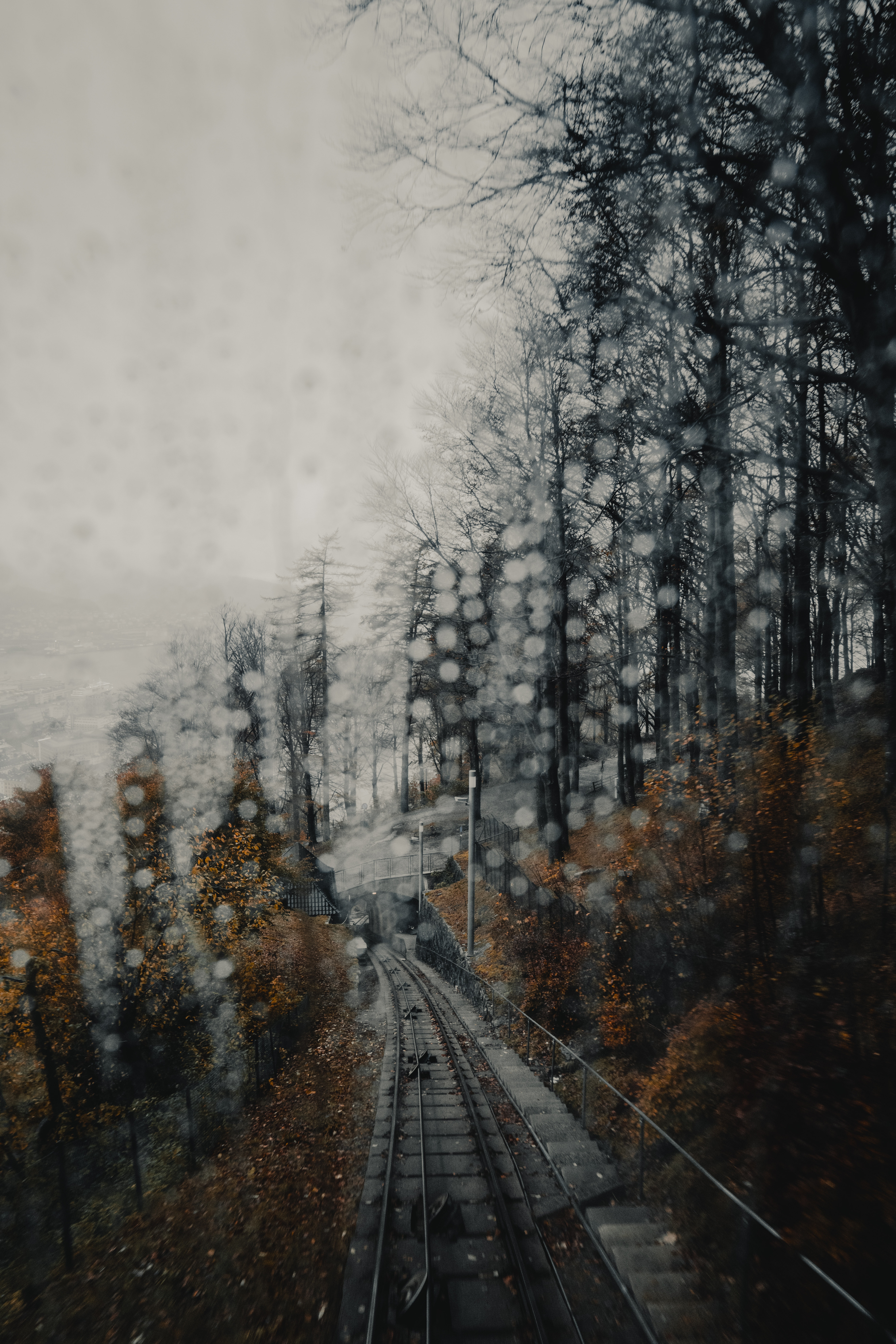 Ultra HD 4K fog, nature, rails, forest