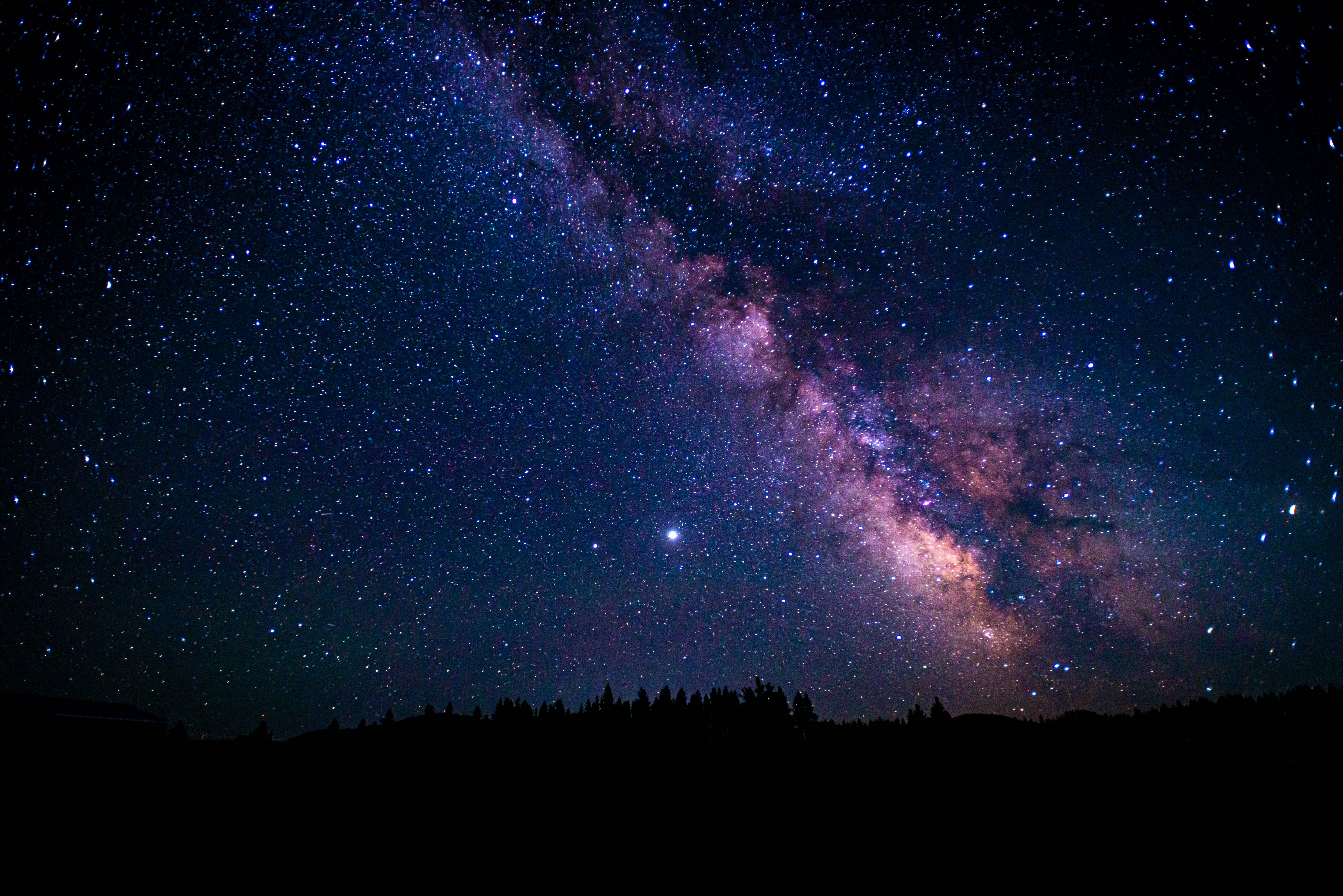 stars, night, starry sky, universe, trees, nebula 4K