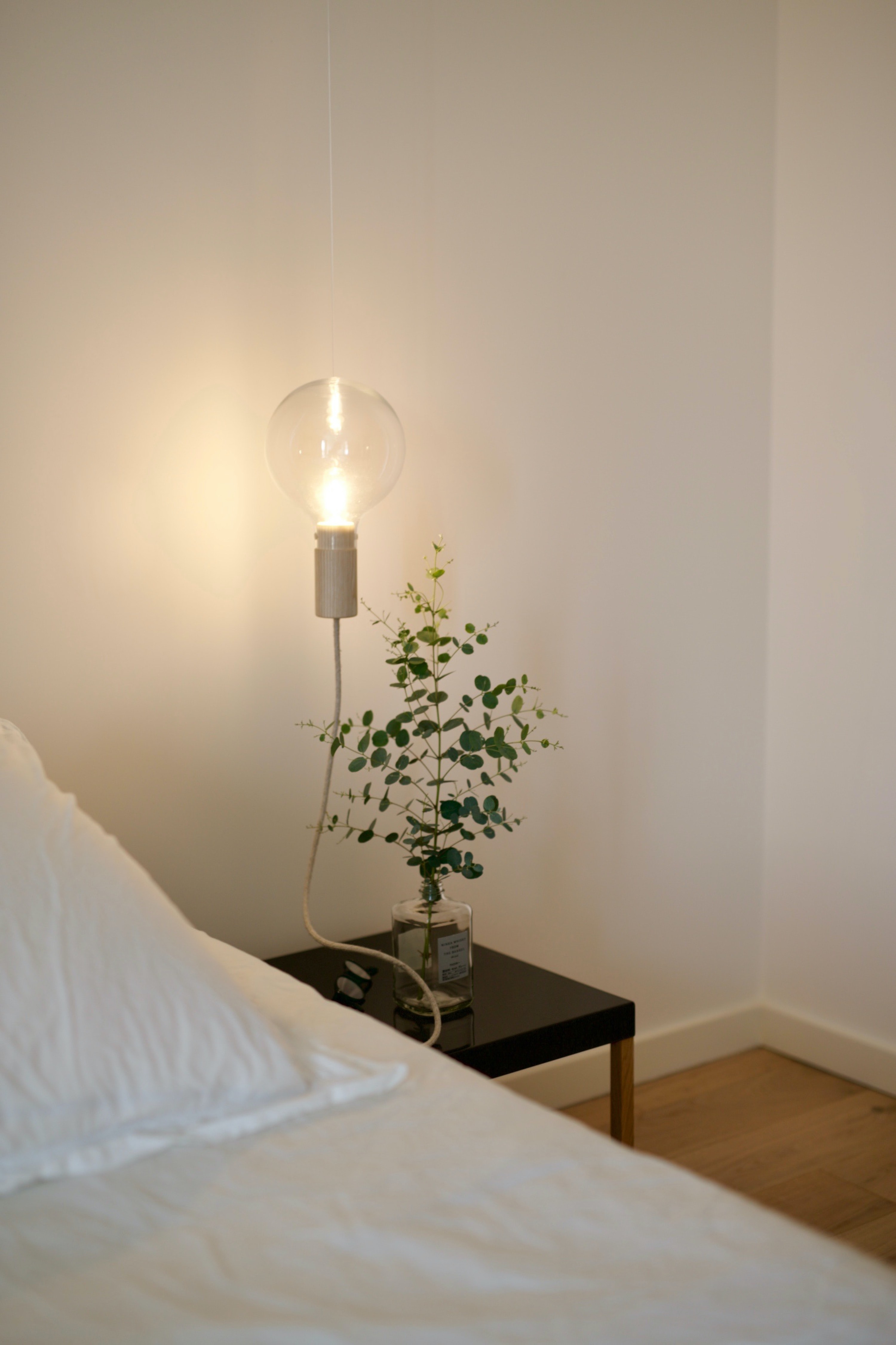 light bulb, branch, interior, miscellanea, miscellaneous, lamp, room High Definition image