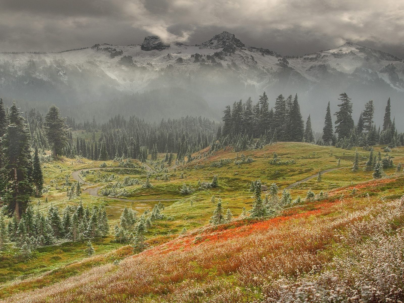 Laden Sie das Natur, Mountains, Nebel, Frost-Bild kostenlos auf Ihren PC-Desktop herunter