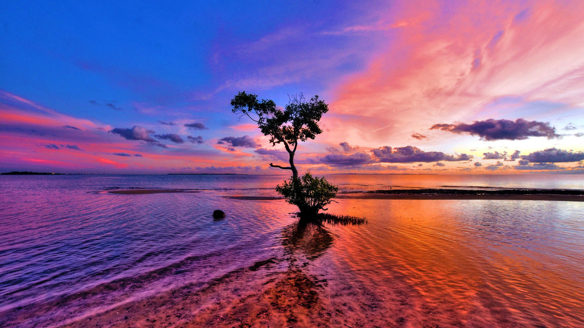 sunset, landscape cellphone