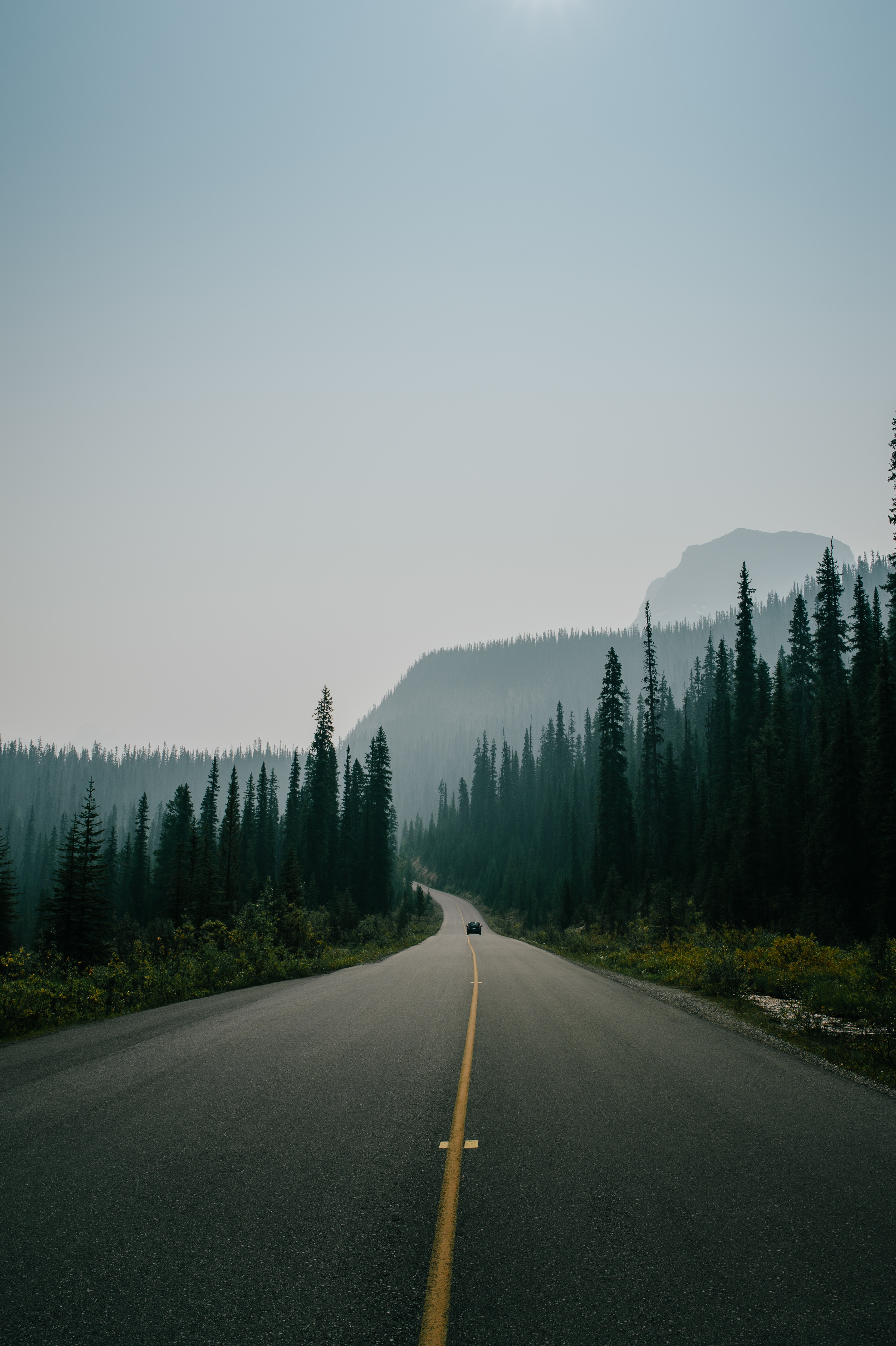 mountains, road, nature, markup, fog, traffic, movement 8K