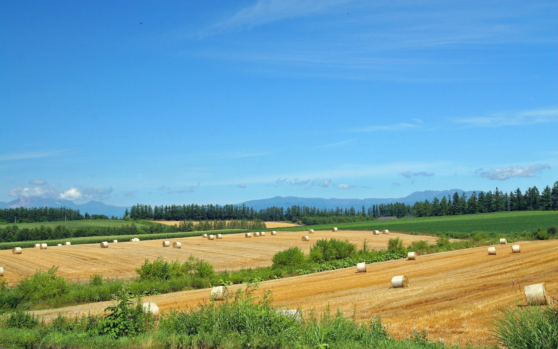 fields, summer, straw, farm, nature, economy, hay, blank, provision 2160p