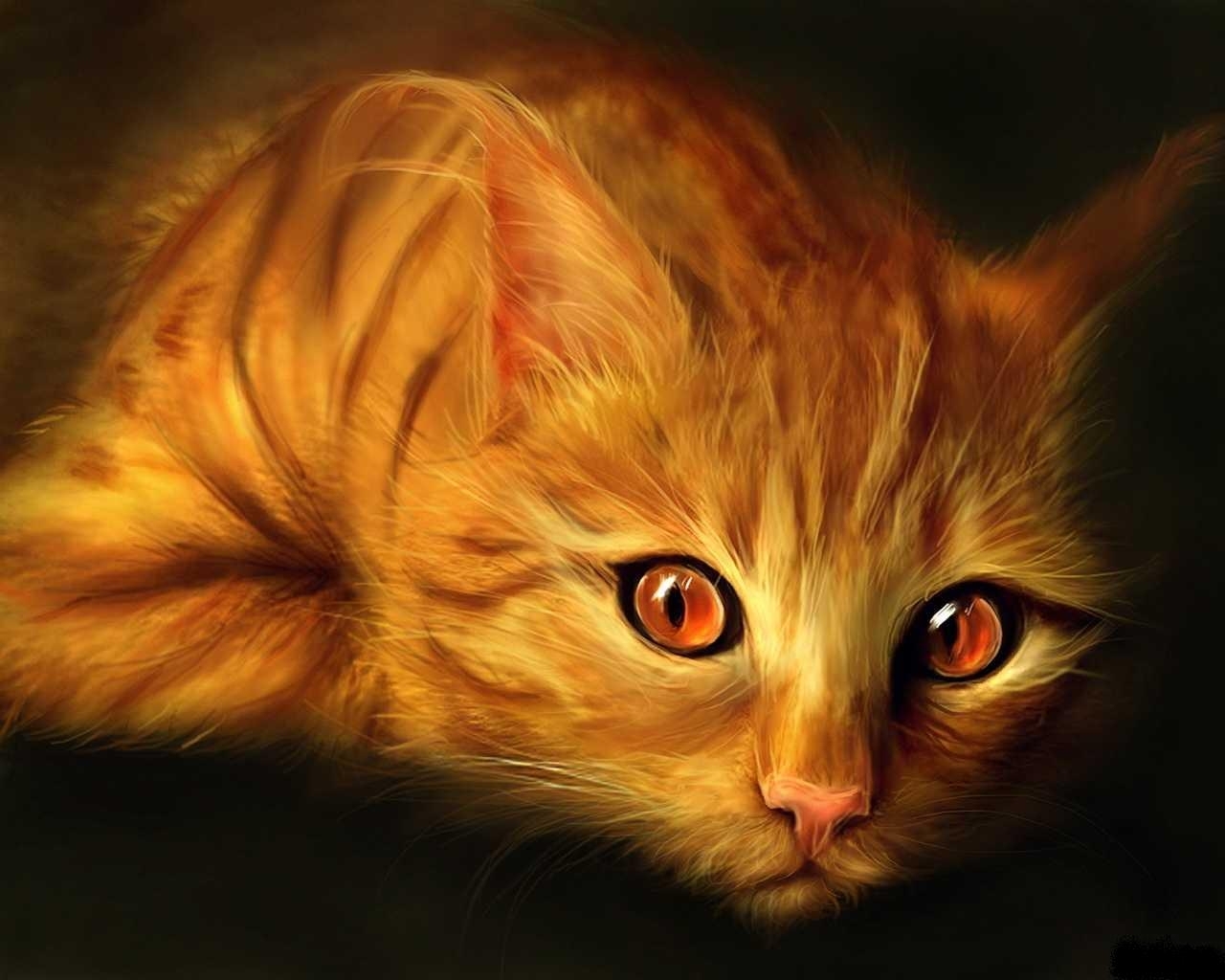 7847 скачать обои артфото, животные, кошки (коты, котики), оранжевые - заставки и картинки бесплатно