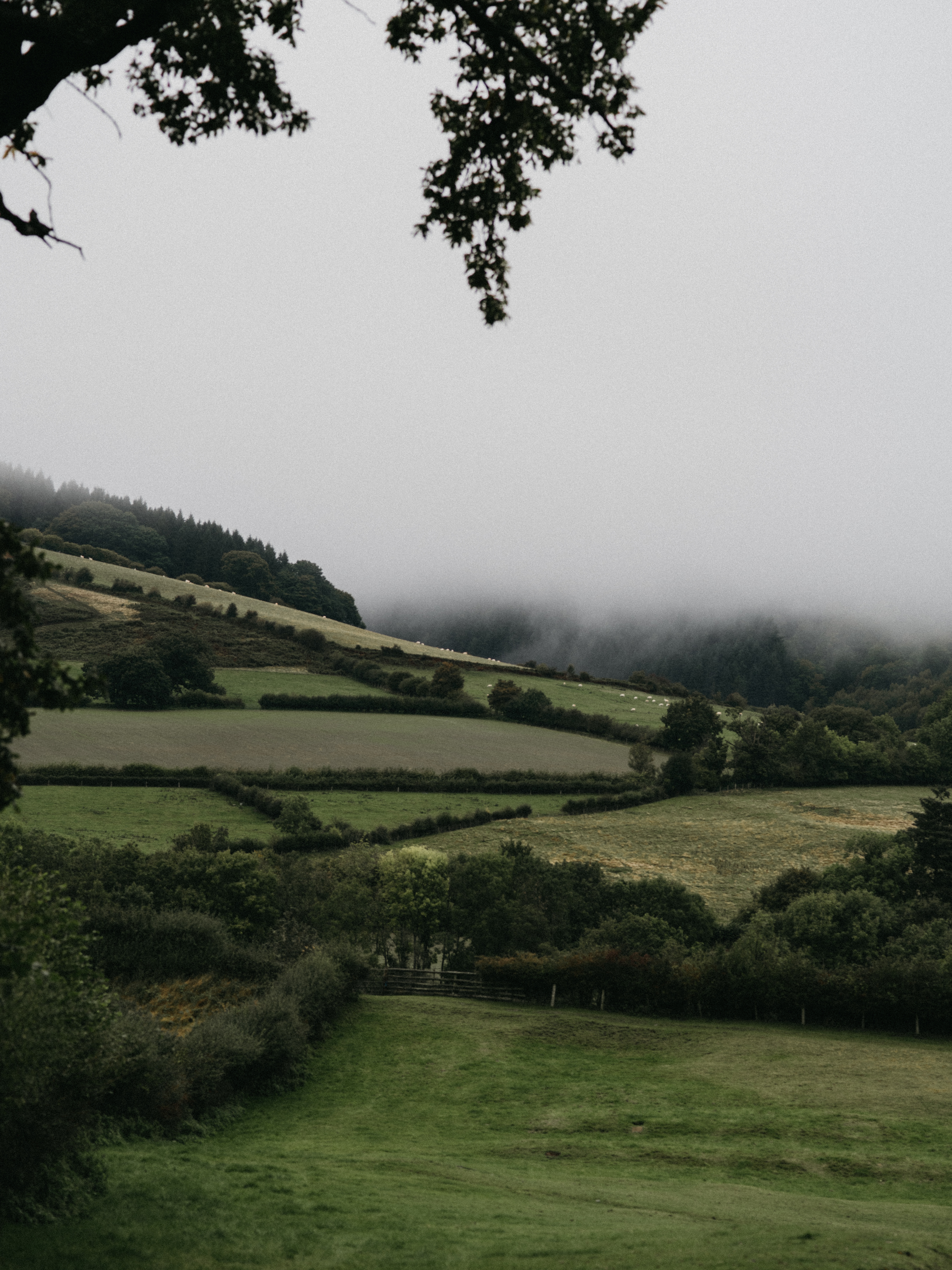 landscape, nature, fog, hills collection of HD images